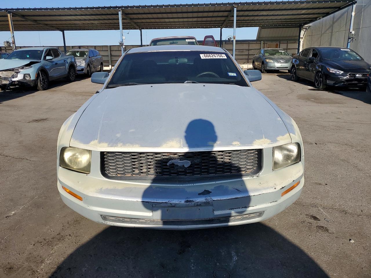 2006 Ford Mustang Silver vin: 1ZVFT80N565192827