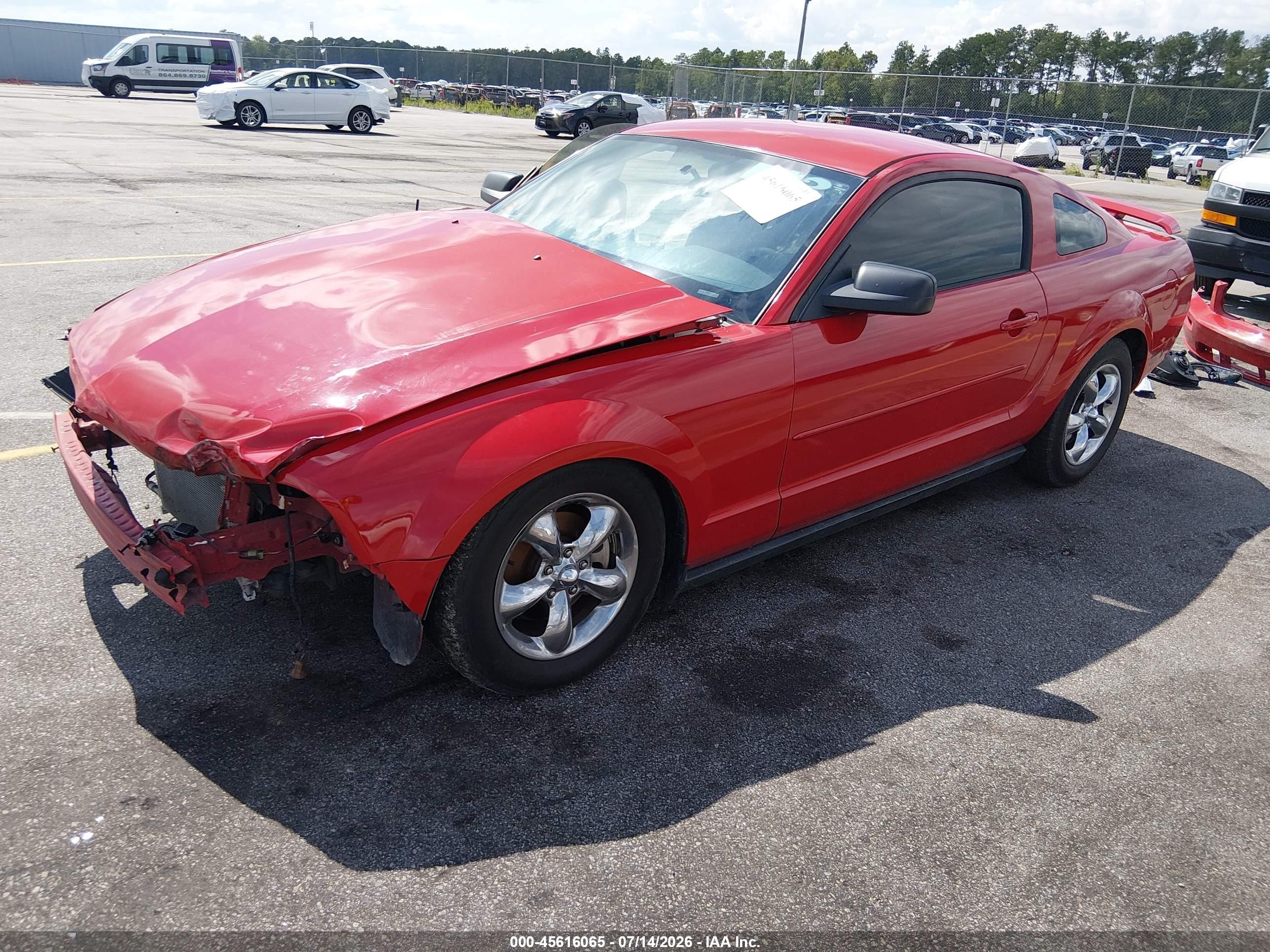 2006 Ford Mustang V6 Red vin: 1ZVFT80N565244036