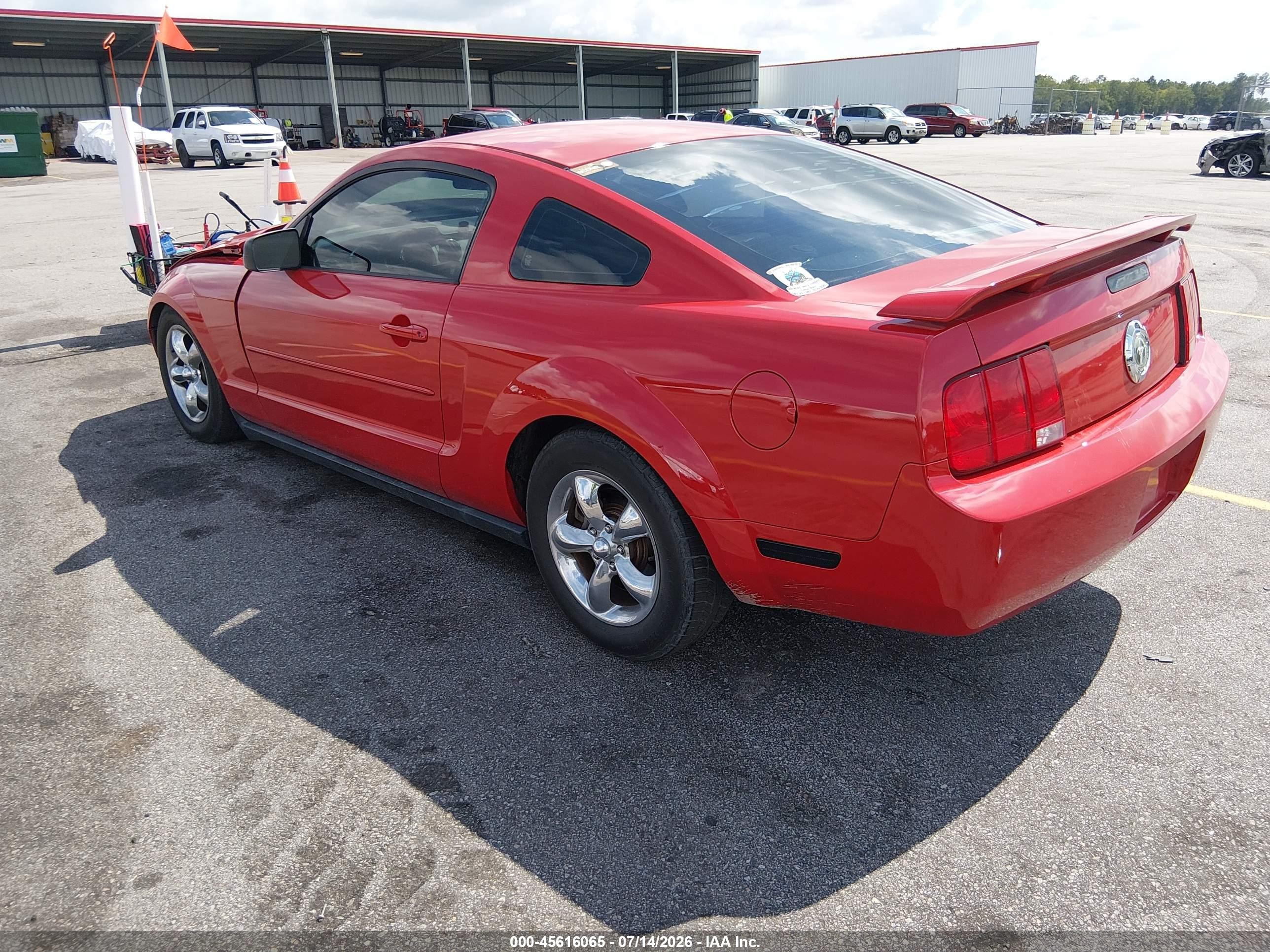 2006 Ford Mustang V6 Red vin: 1ZVFT80N565244036
