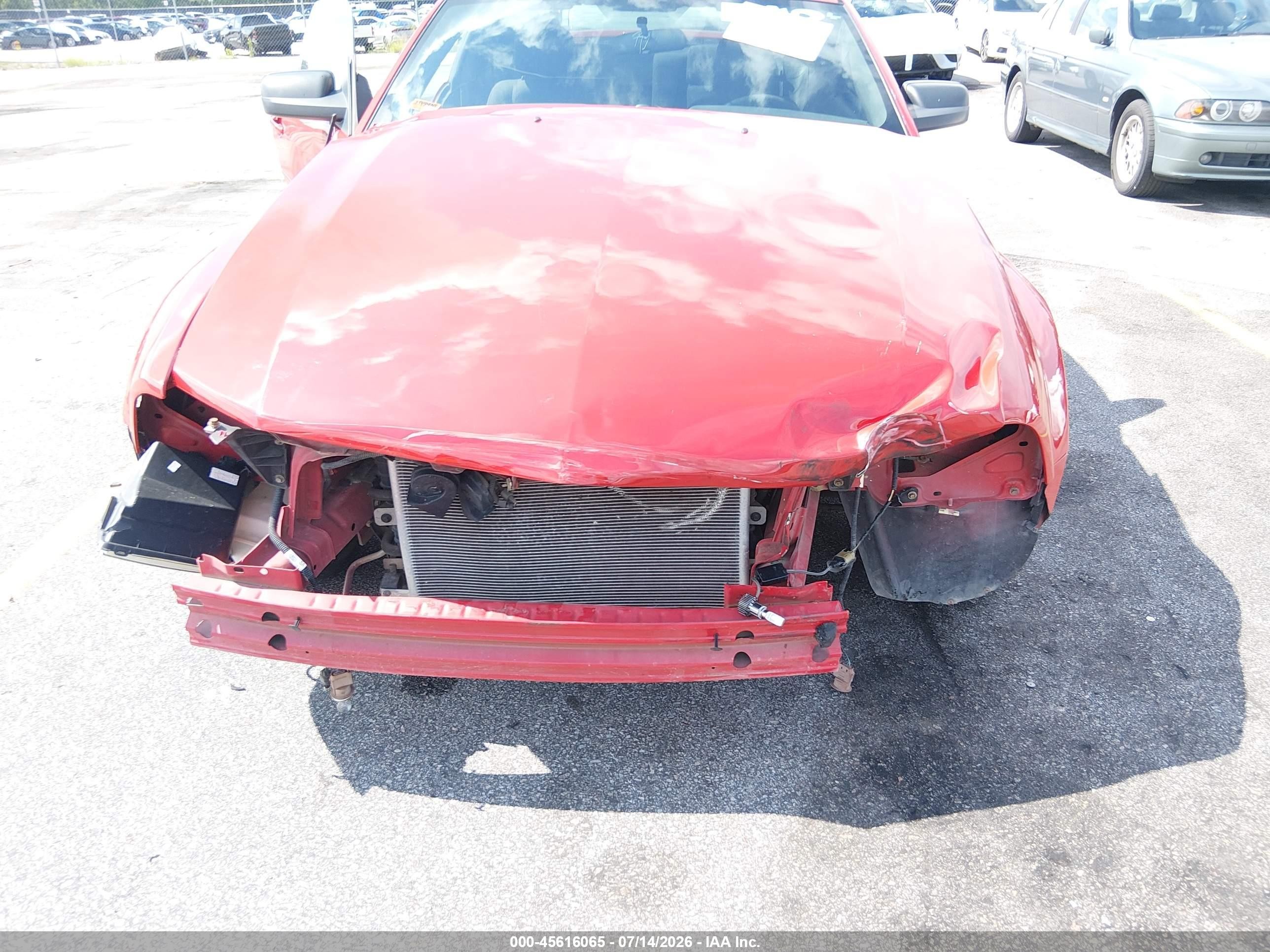 2006 Ford Mustang V6 Red vin: 1ZVFT80N565244036