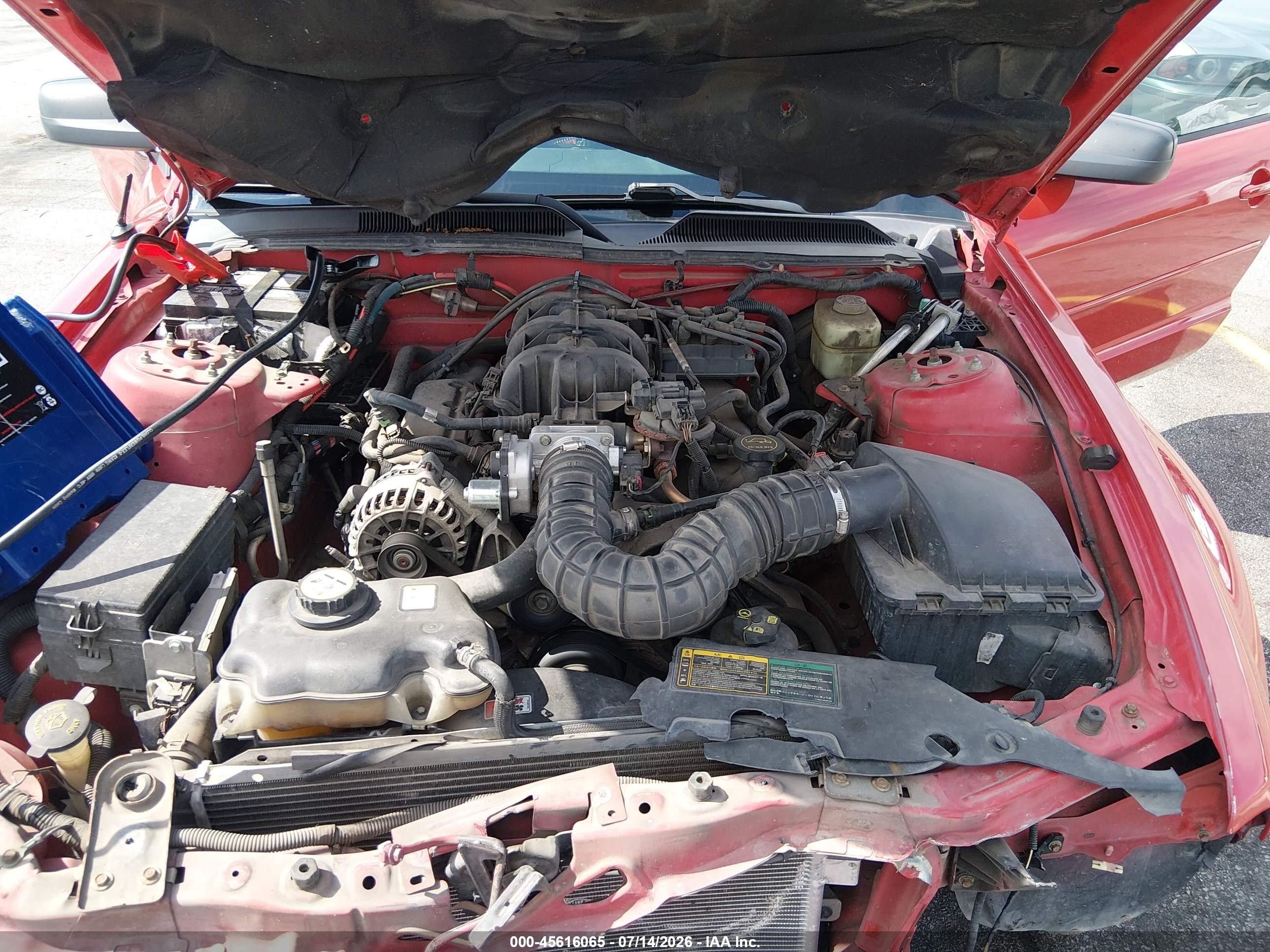 2006 Ford Mustang V6 Red vin: 1ZVFT80N565244036