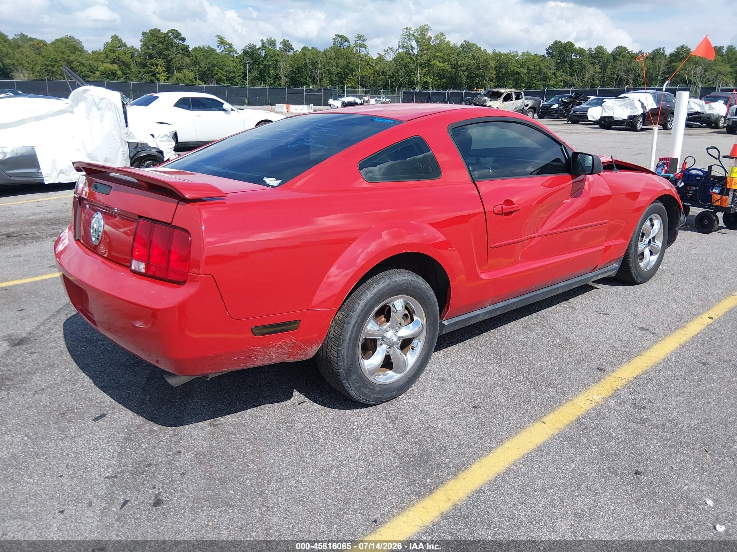 2006 Ford Mustang V6 Red vin: 1ZVFT80N565244036