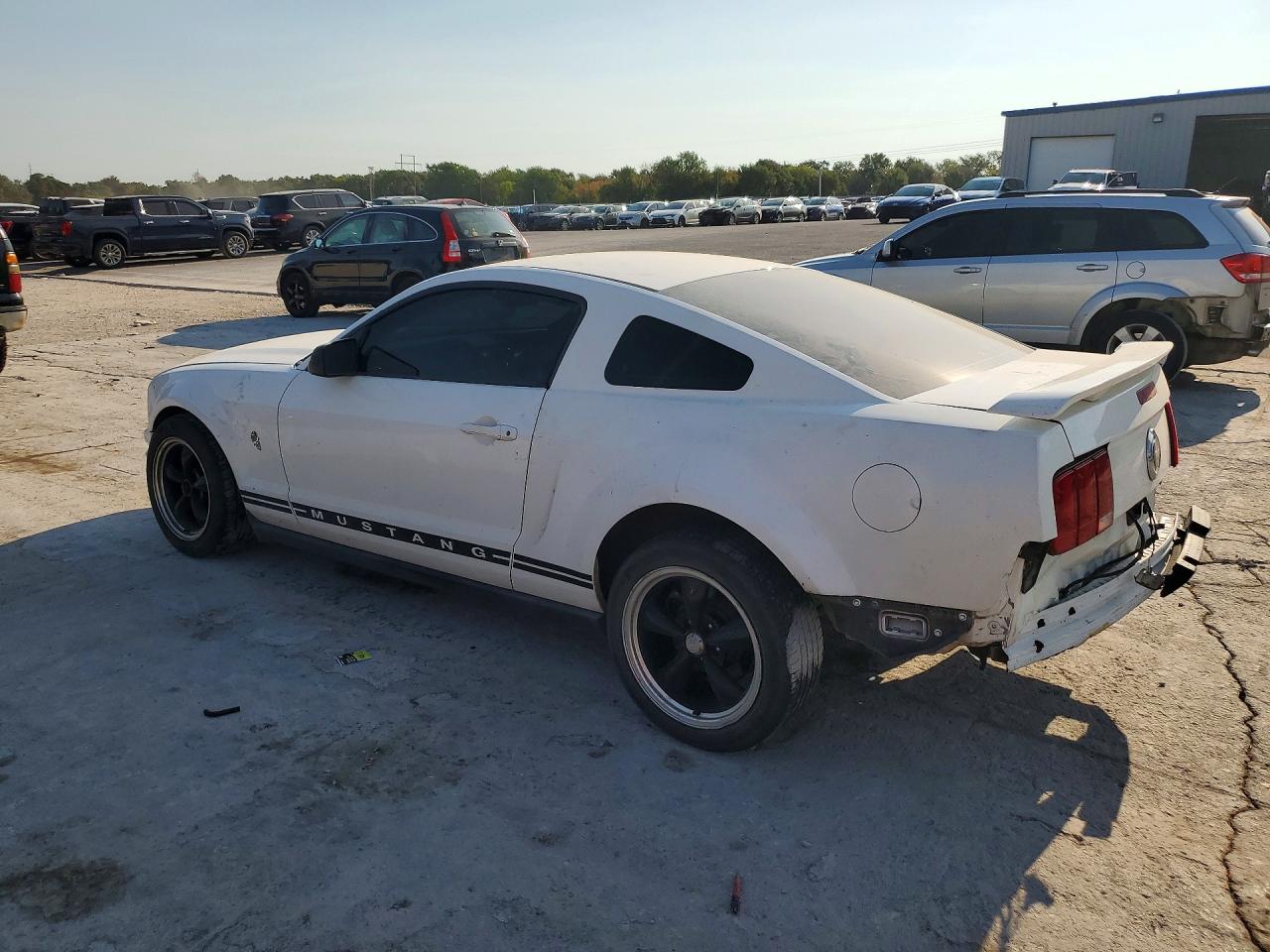 2006 Ford Mustang White vin: 1ZVFT80N565247308
