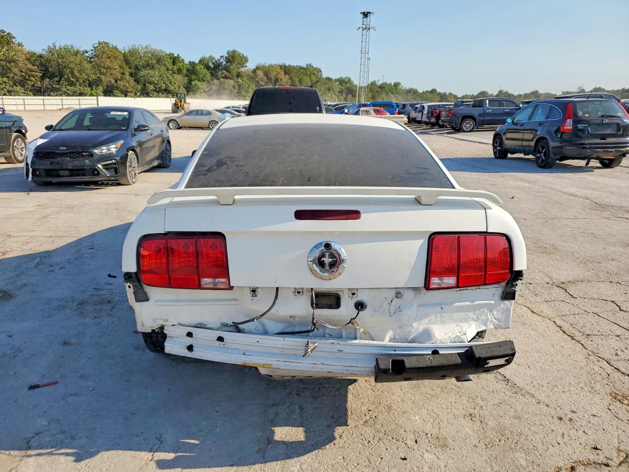 2006 Ford Mustang White vin: 1ZVFT80N565247308