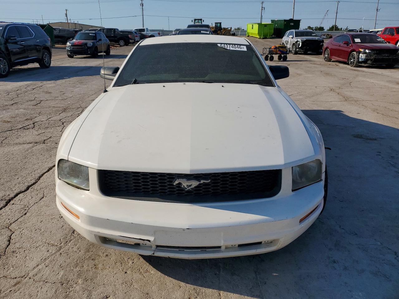 2006 Ford Mustang White vin: 1ZVFT80N565247308