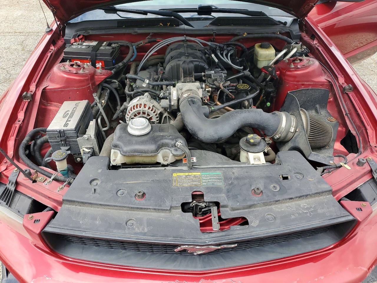 2006 Ford Mustang Бордовый vin: 1ZVFT80N565250483