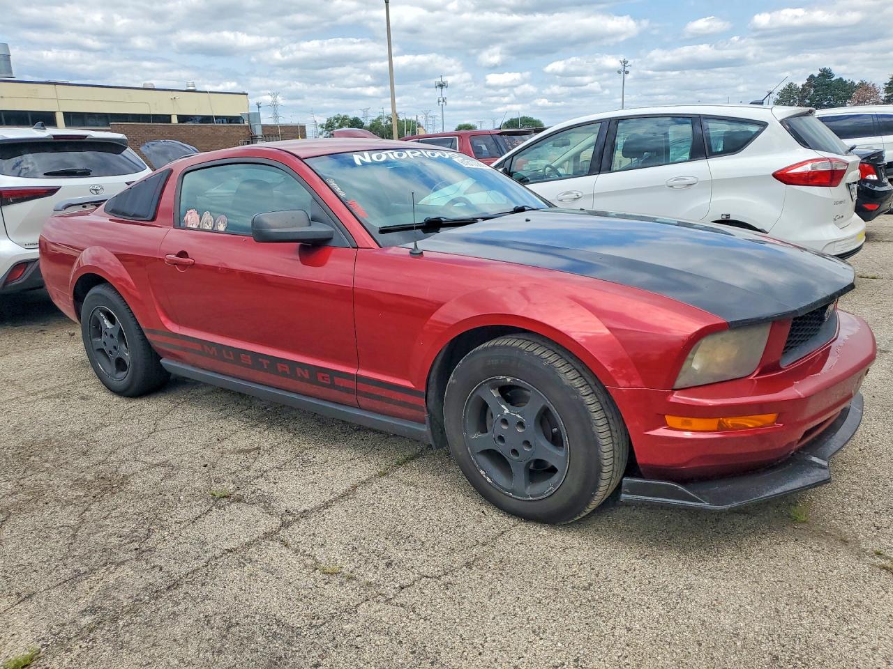 2006 Ford Mustang Бордовый vin: 1ZVFT80N565250483