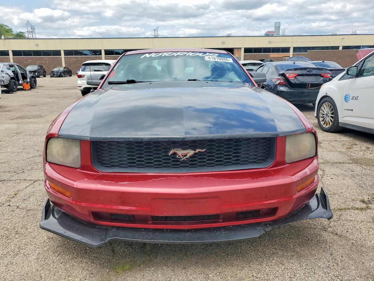 2006 Ford Mustang Бордовый vin: 1ZVFT80N565250483