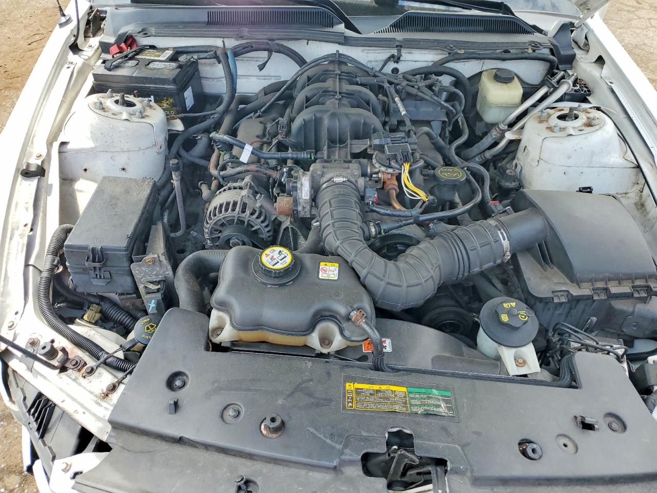 2007 Ford Mustang White vin: 1ZVFT80N575233555