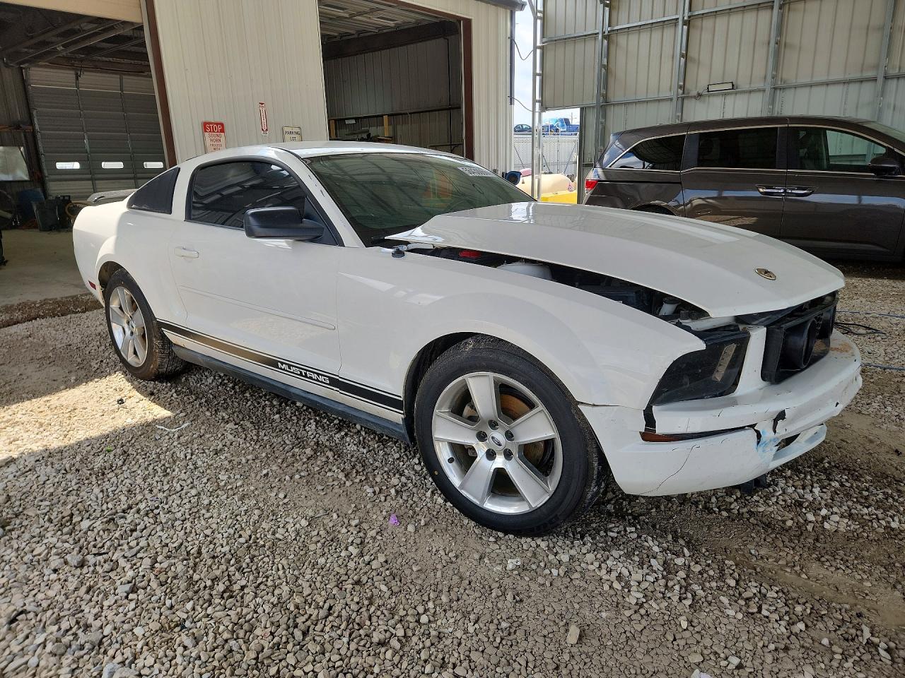 2007 Ford Mustang White vin: 1ZVFT80N575315317