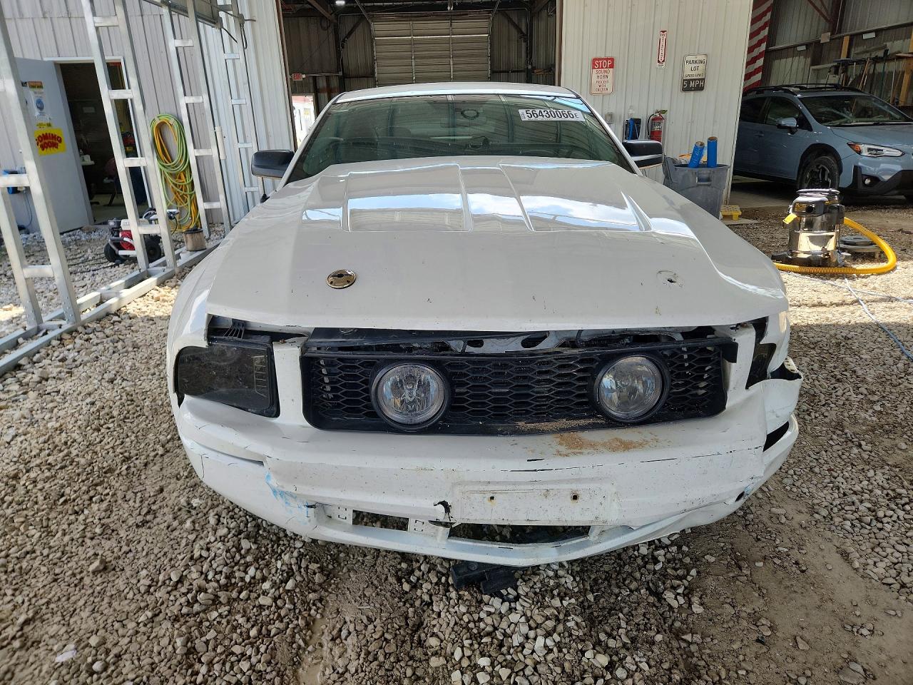 2007 Ford Mustang White vin: 1ZVFT80N575315317