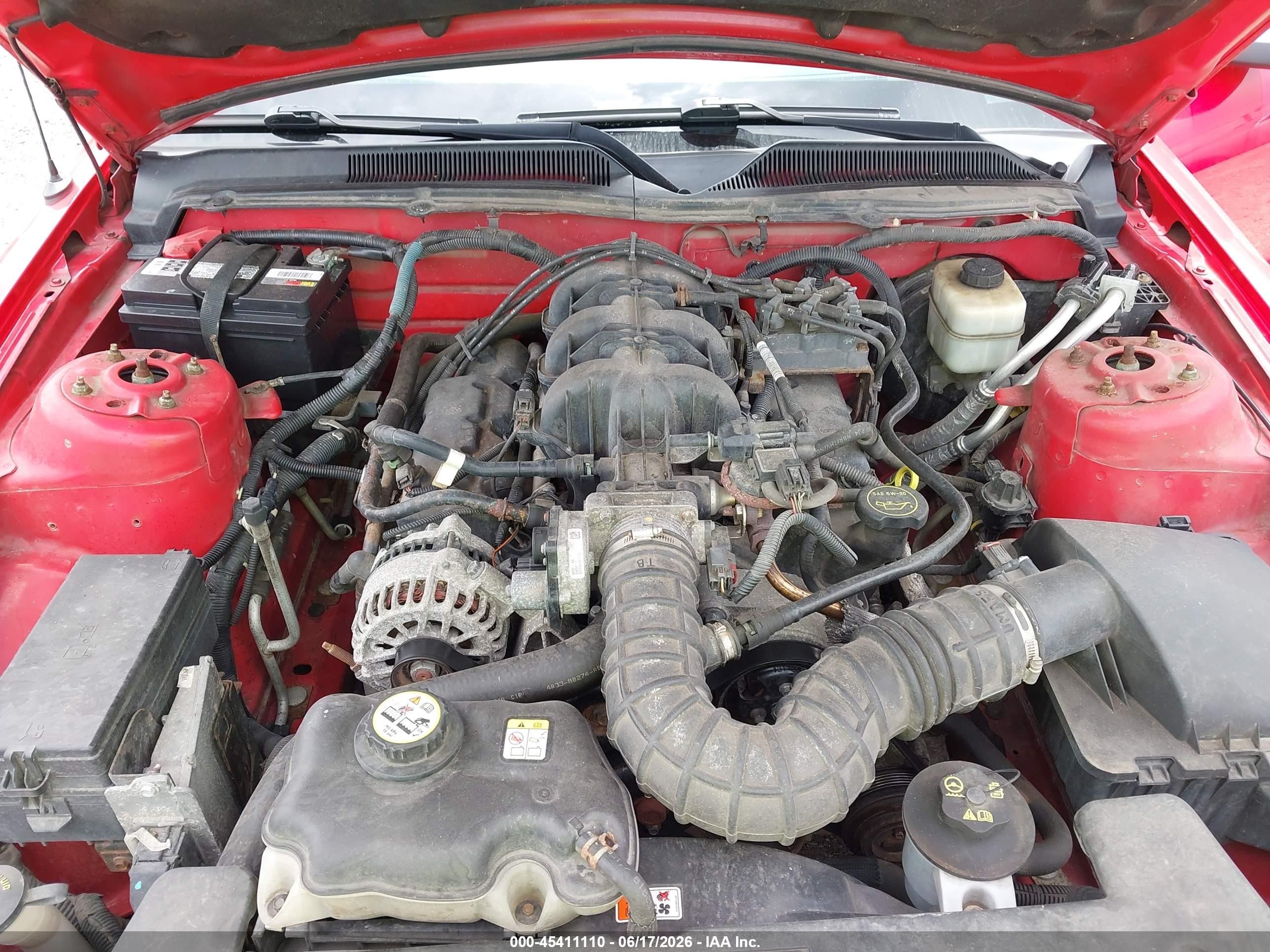 2007 Ford Mustang V6 Deluxe/v6 Premium Red vin: 1ZVFT80N575356790
