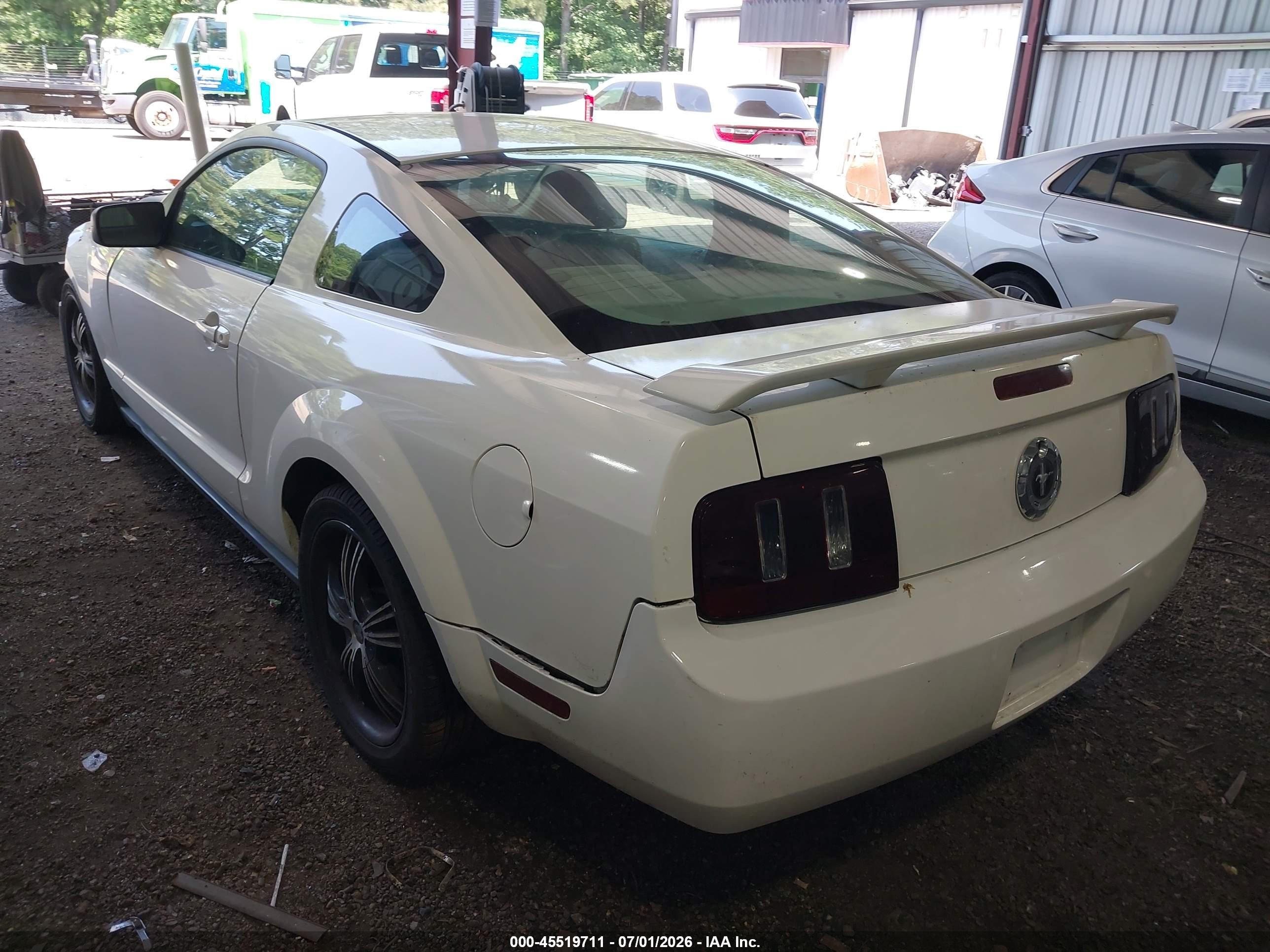 2005 Ford Mustang V6 Deluxe/v6 Premium White vin: 1ZVFT80N655107735