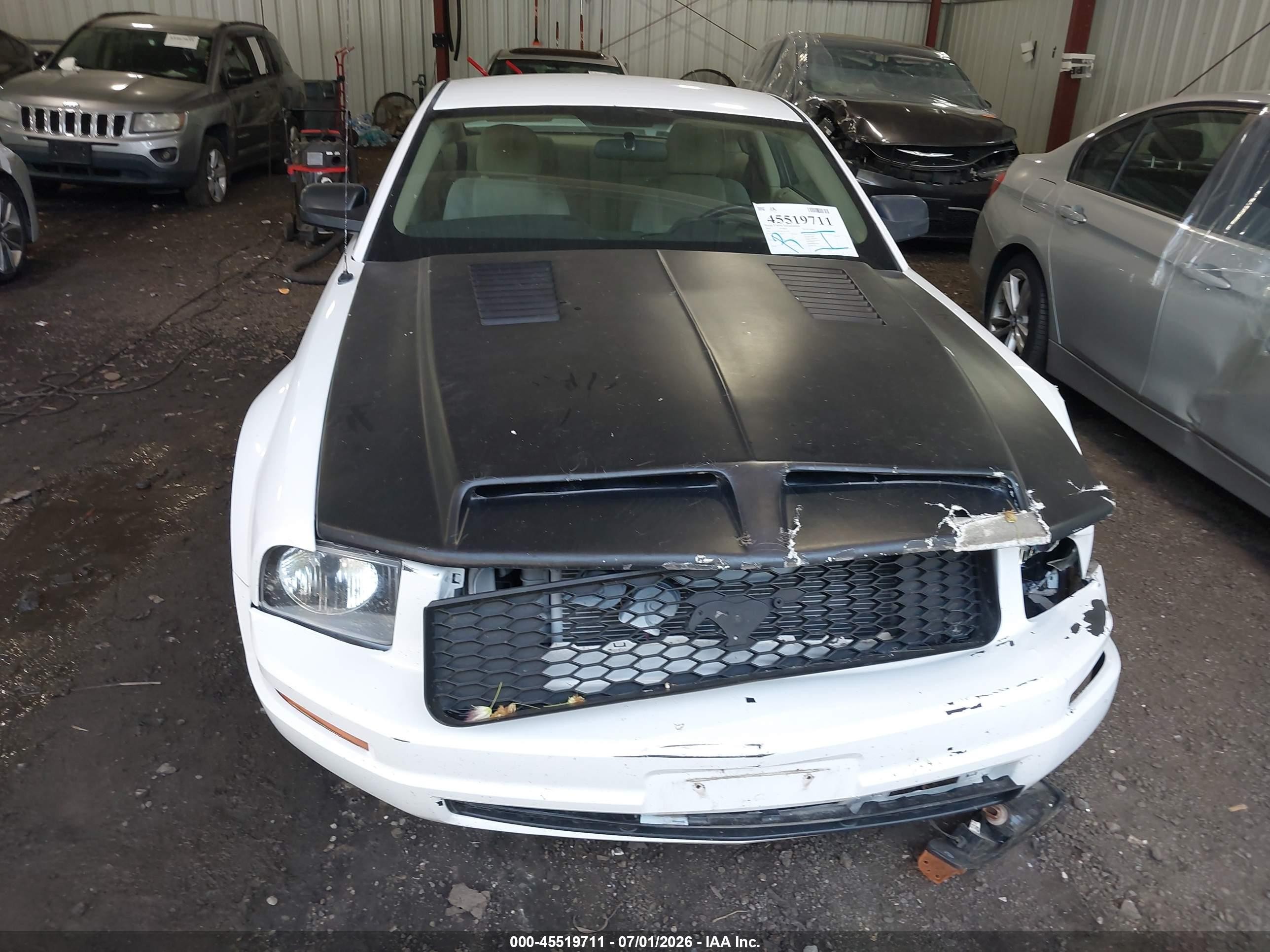 2005 Ford Mustang V6 Deluxe/v6 Premium White vin: 1ZVFT80N655107735