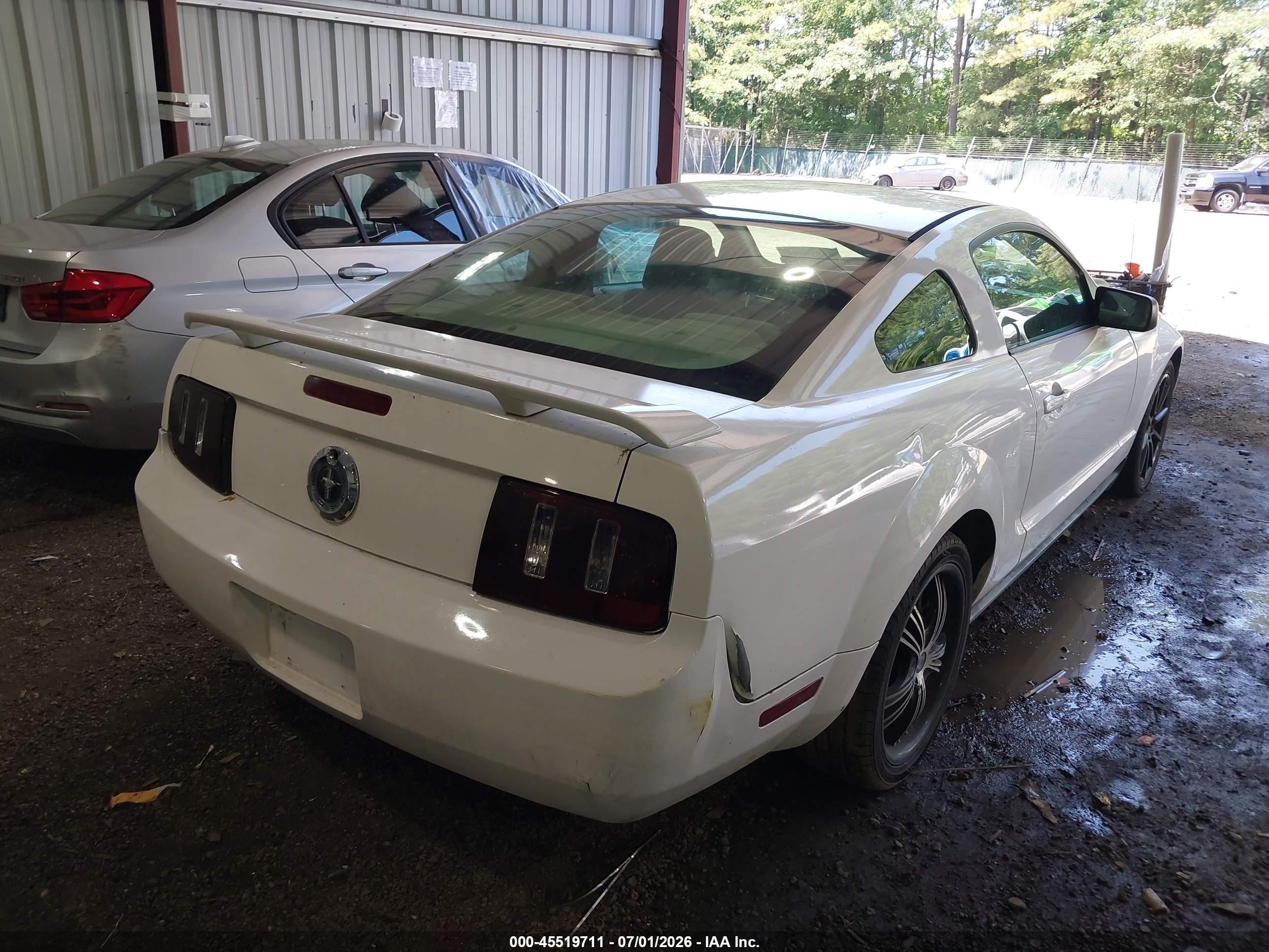 2005 Ford Mustang V6 Deluxe/v6 Premium White vin: 1ZVFT80N655107735