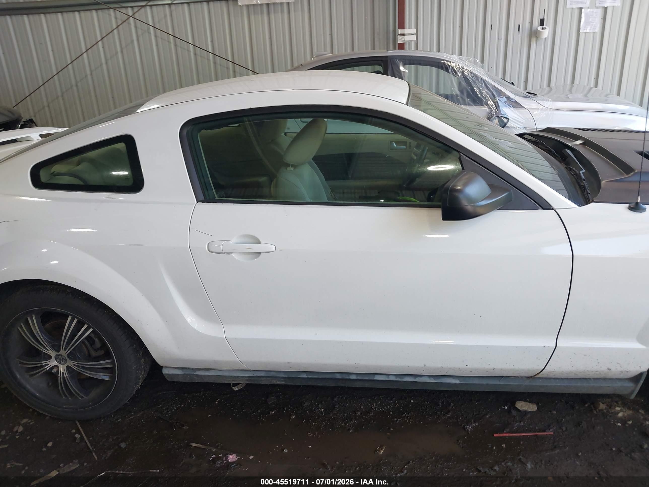 2005 Ford Mustang V6 Deluxe/v6 Premium White vin: 1ZVFT80N655107735