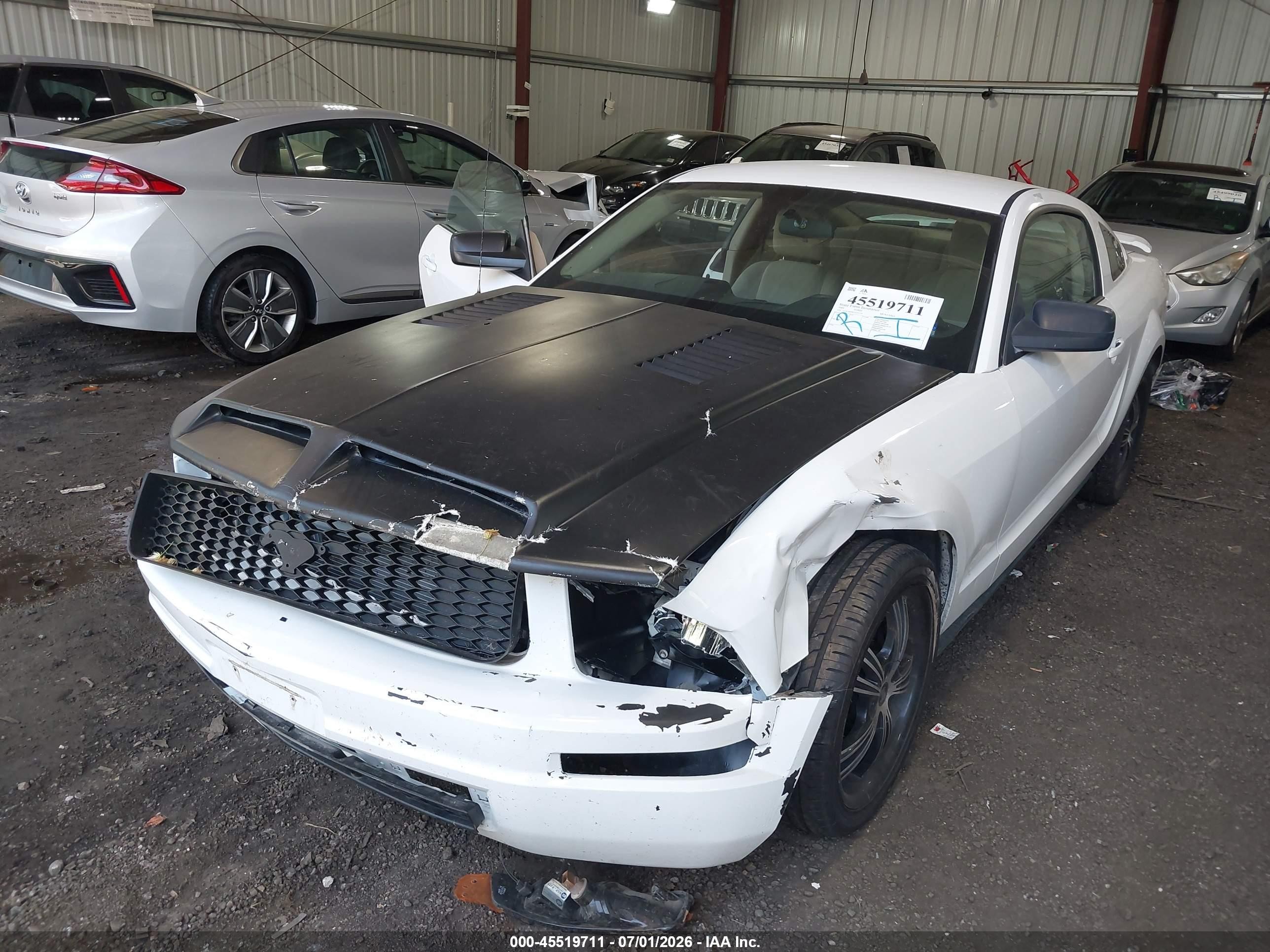 2005 Ford Mustang V6 Deluxe/v6 Premium White vin: 1ZVFT80N655107735