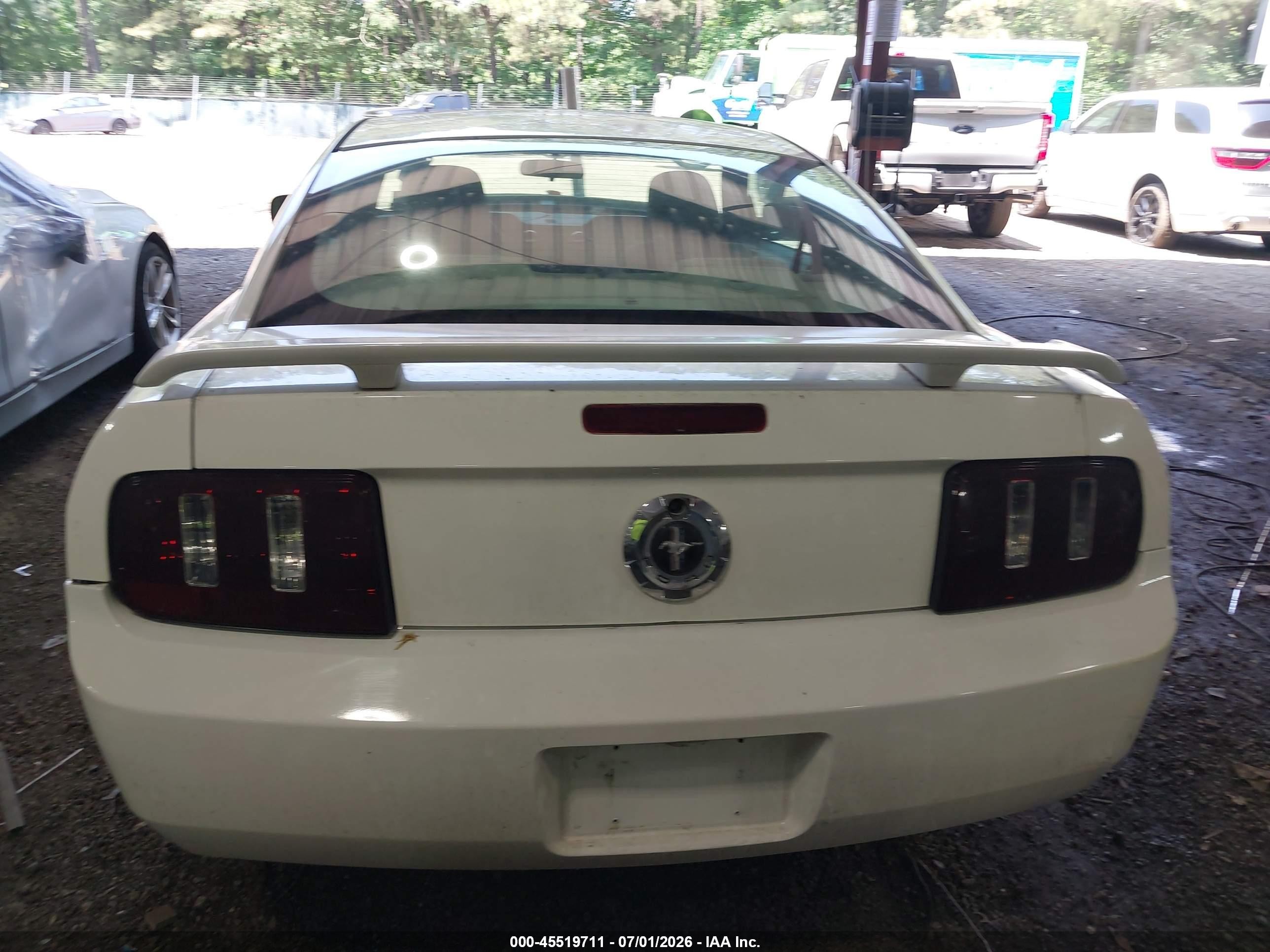 2005 Ford Mustang V6 Deluxe/v6 Premium White vin: 1ZVFT80N655107735