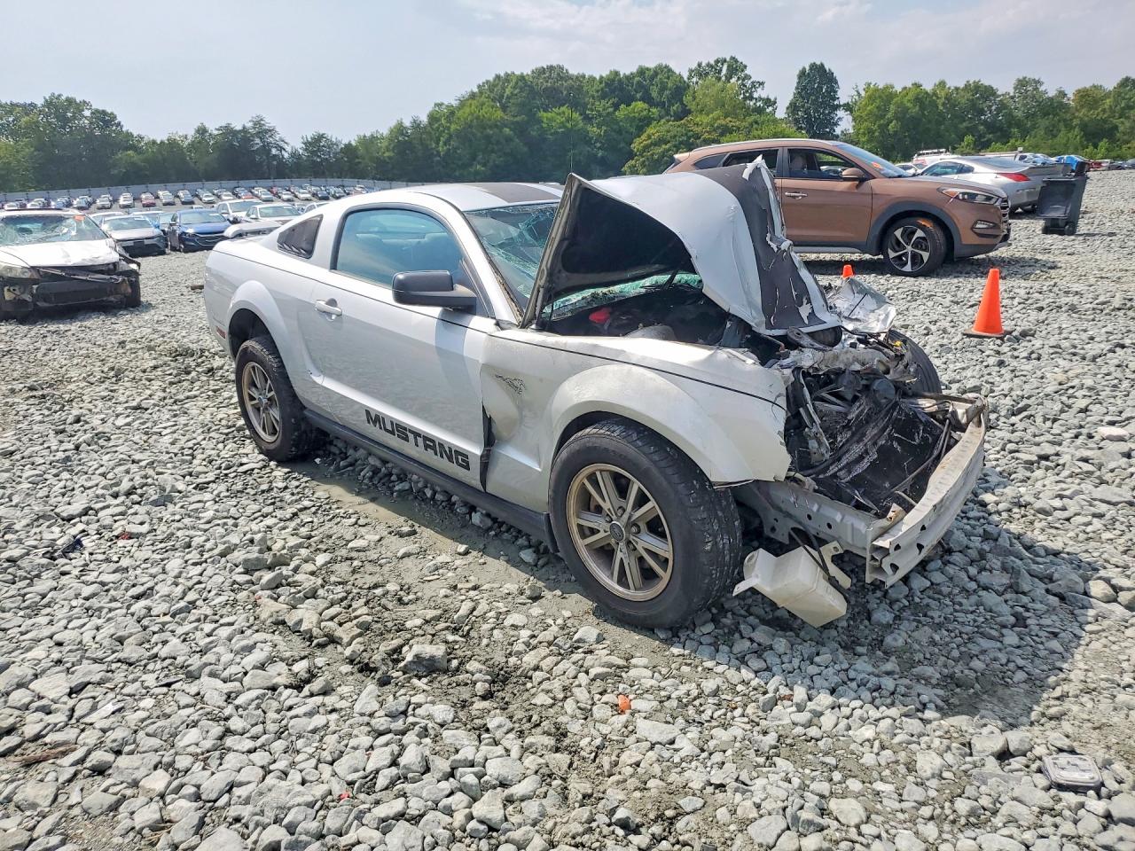 2005 Ford Mustang Silver vin: 1ZVFT80N655138452