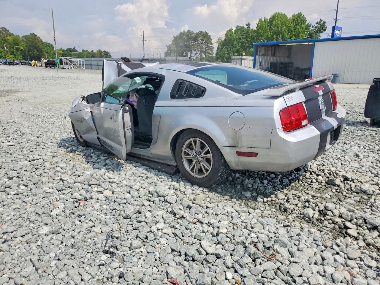 2005 Ford Mustang Silver vin: 1ZVFT80N655138452