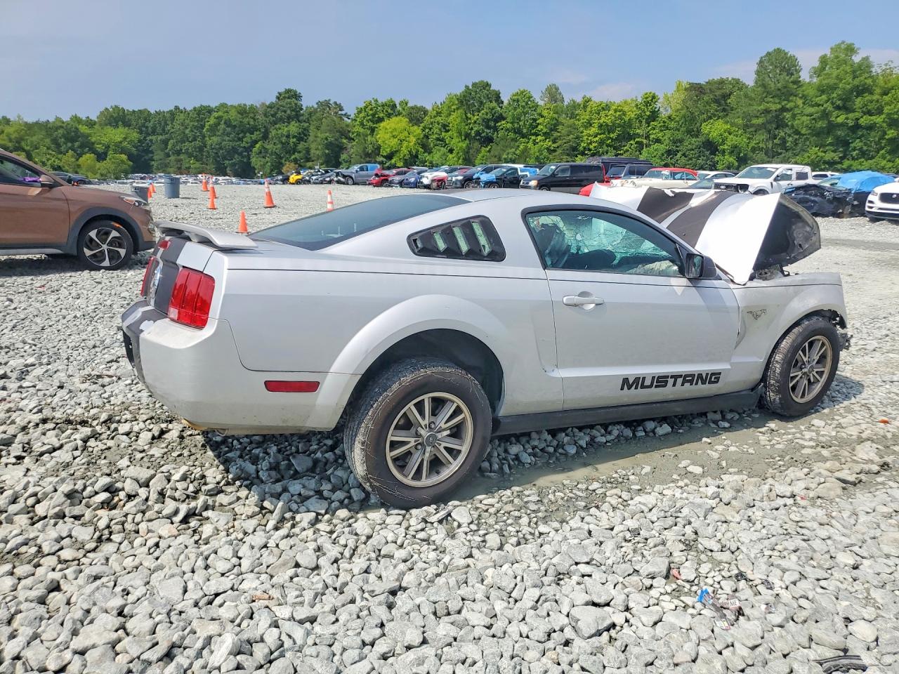 2005 Ford Mustang Silver vin: 1ZVFT80N655138452