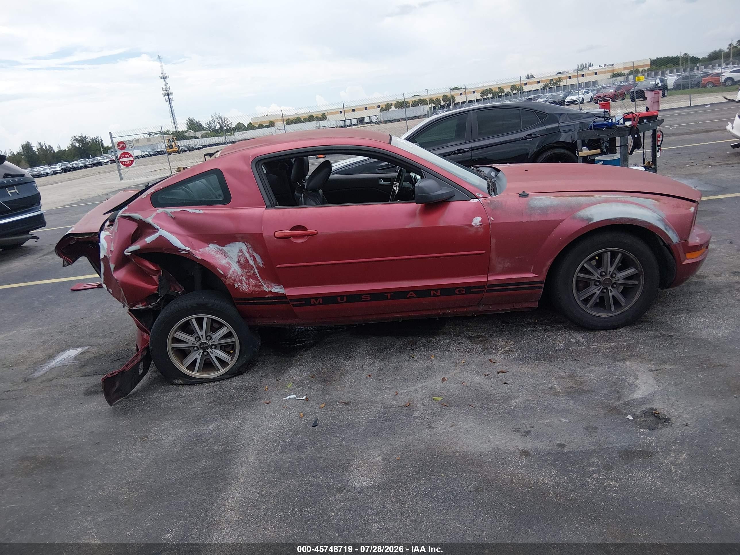 2005 Ford Mustang V6 Deluxe/v6 Premium Красный vin: 1ZVFT80N655177901