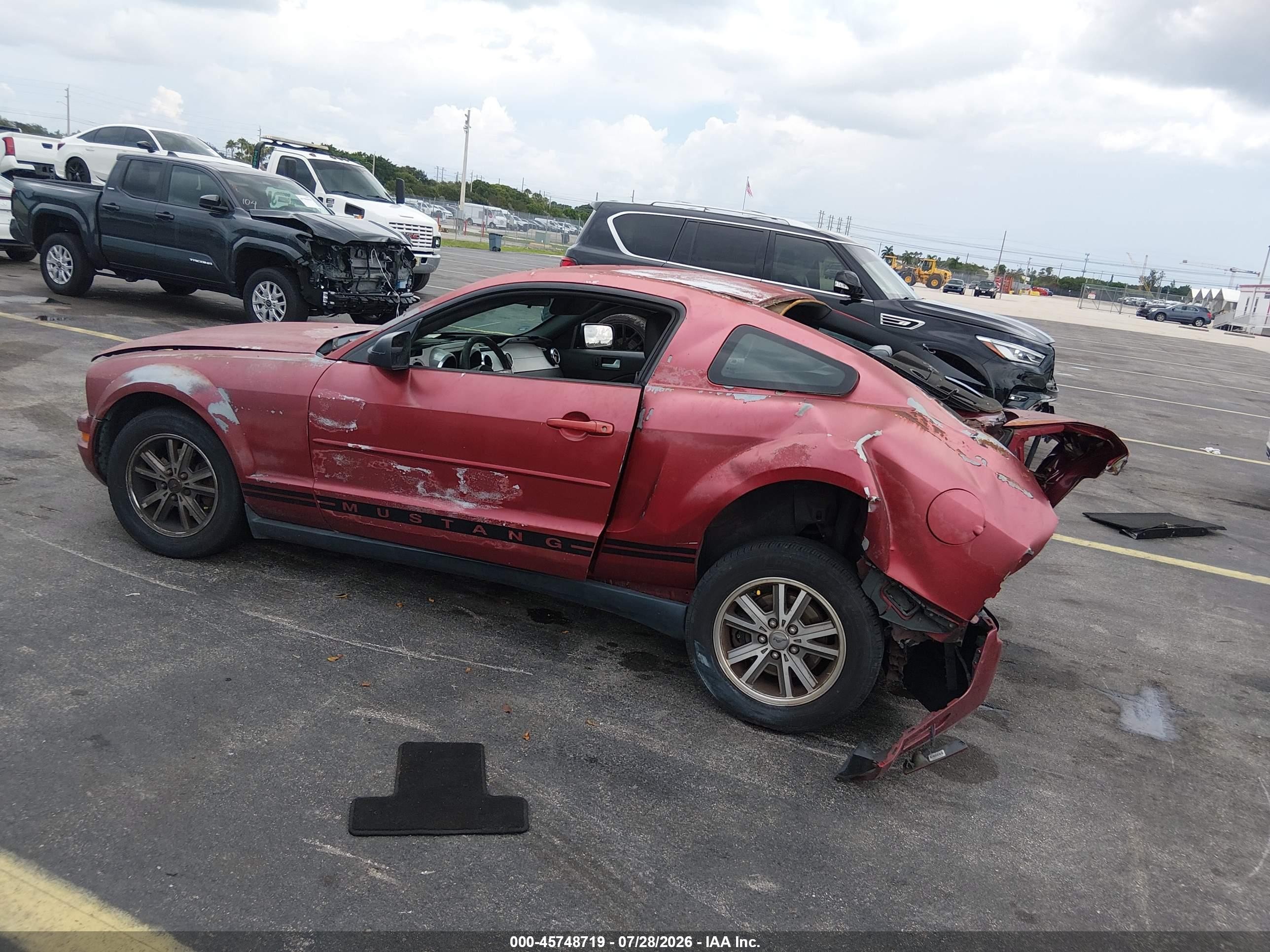 2005 Ford Mustang V6 Deluxe/v6 Premium Красный vin: 1ZVFT80N655177901