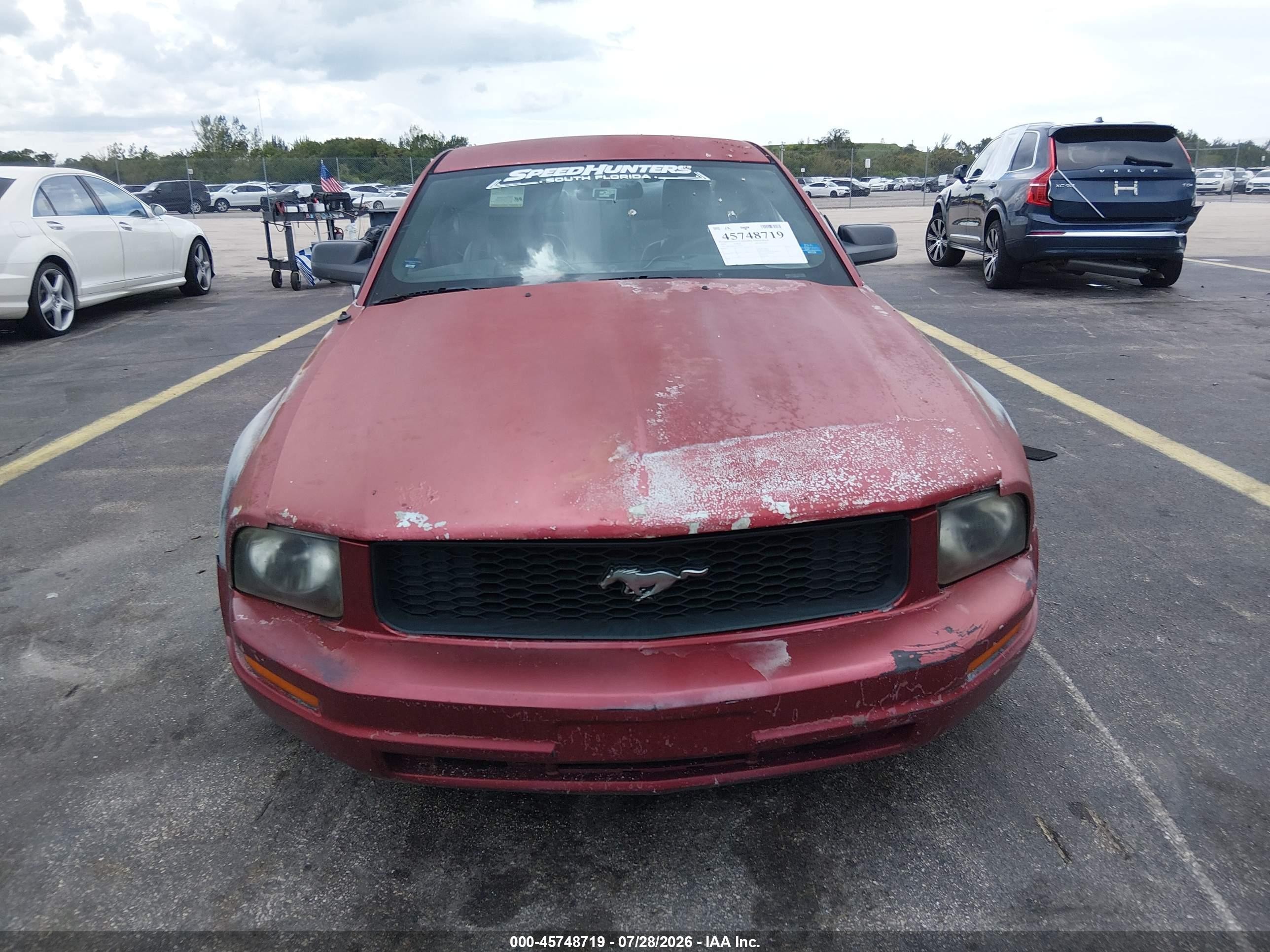 2005 Ford Mustang V6 Deluxe/v6 Premium Красный vin: 1ZVFT80N655177901
