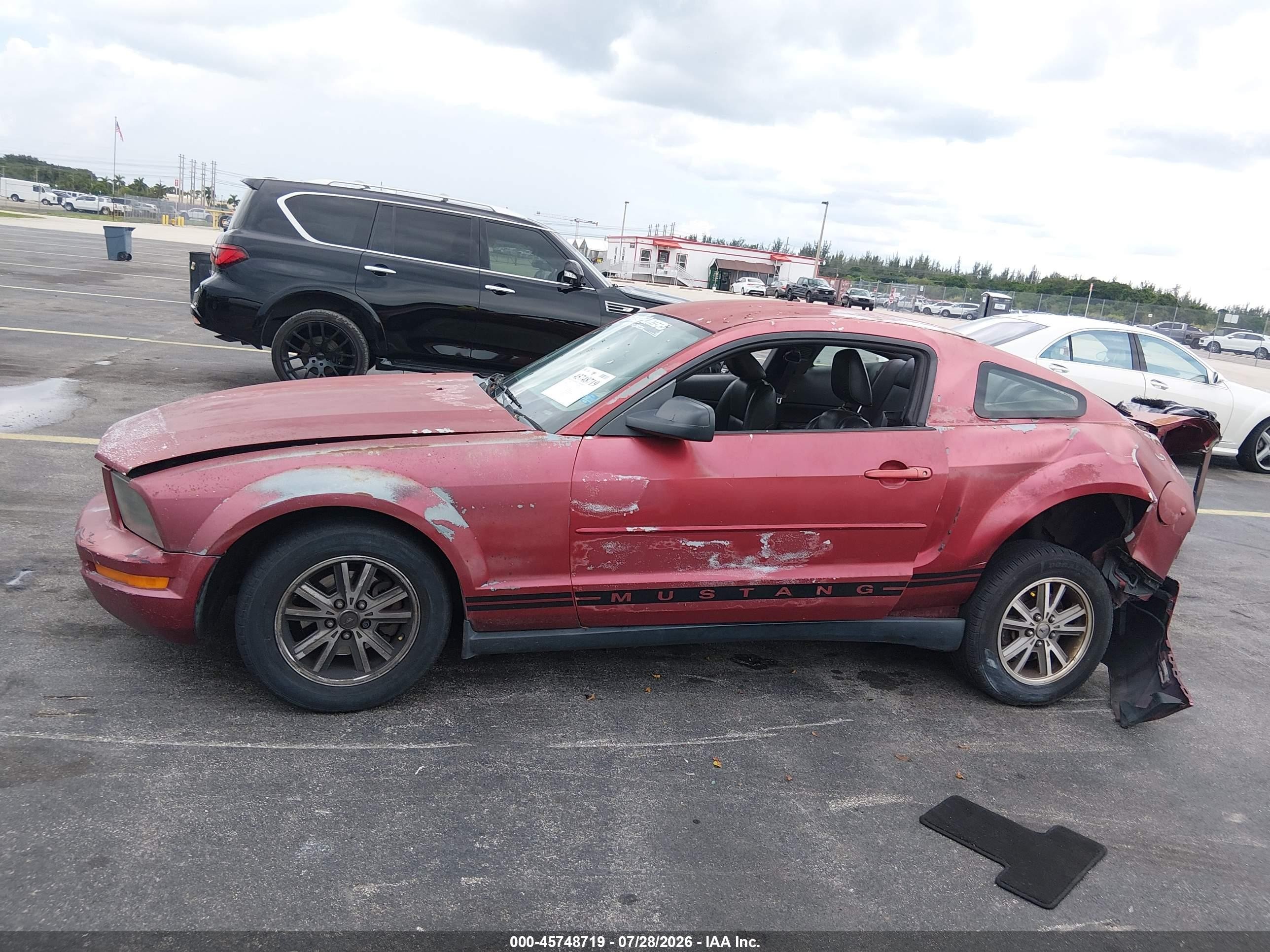 2005 Ford Mustang V6 Deluxe/v6 Premium Красный vin: 1ZVFT80N655177901