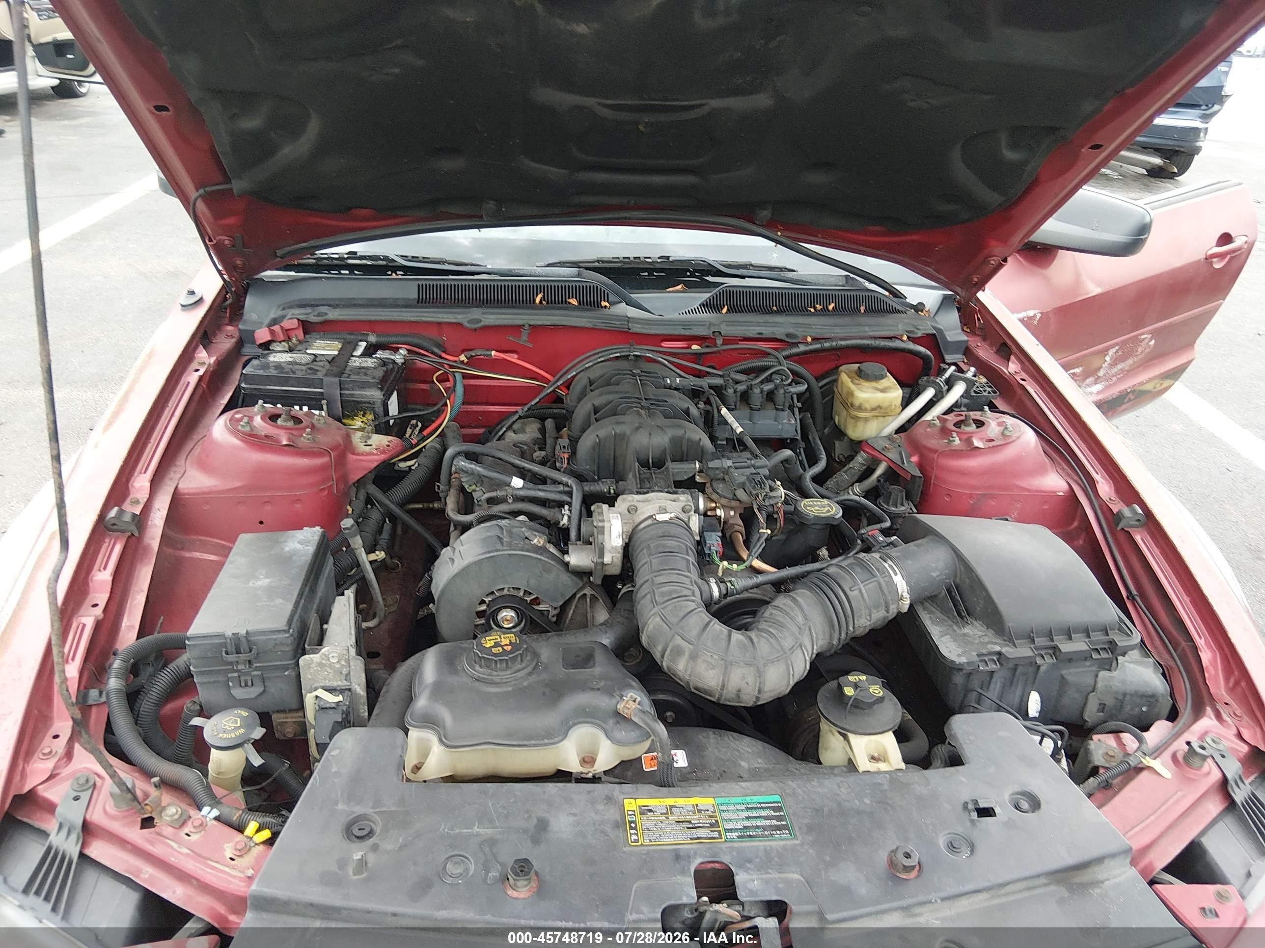 2005 Ford Mustang V6 Deluxe/v6 Premium Красный vin: 1ZVFT80N655177901