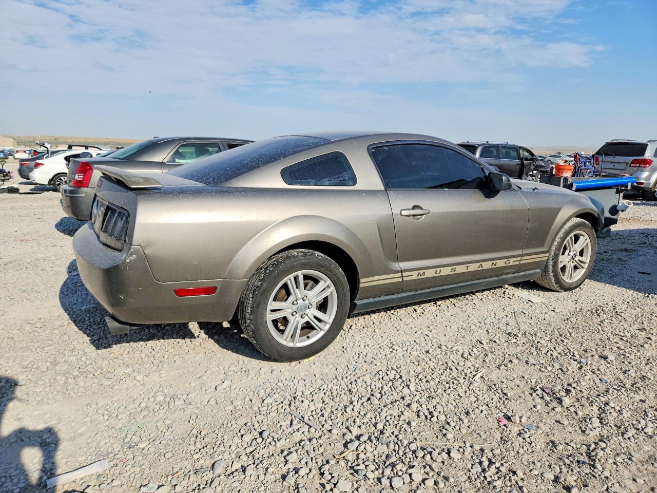 2005 Ford Mustang Gray vin: 1ZVFT80N655238566