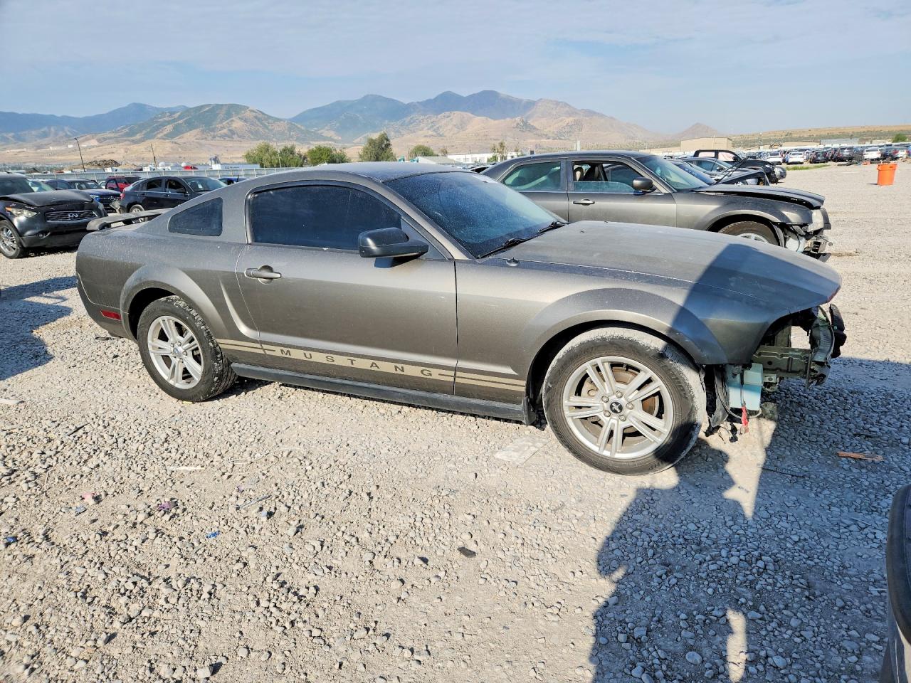 2005 Ford Mustang Gray vin: 1ZVFT80N655238566