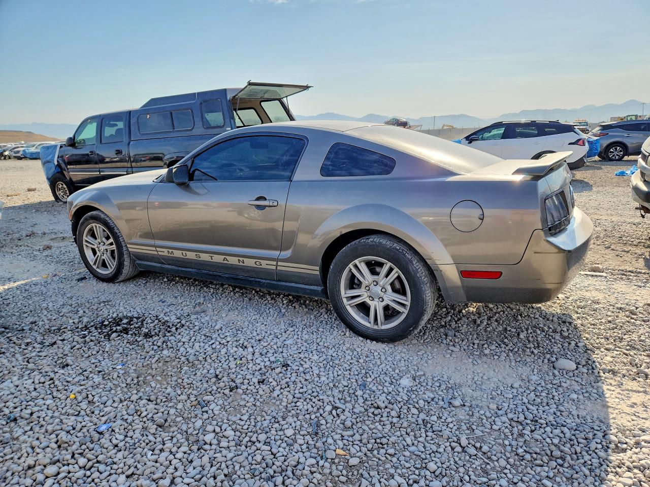 2005 Ford Mustang Gray vin: 1ZVFT80N655238566