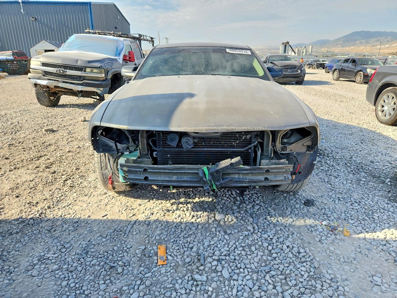 2005 Ford Mustang Gray vin: 1ZVFT80N655238566