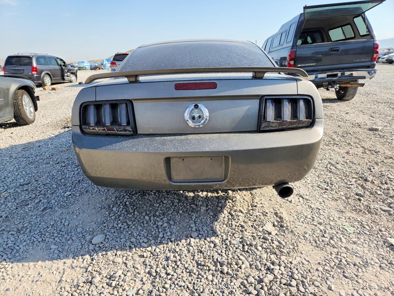 2005 Ford Mustang Gray vin: 1ZVFT80N655238566