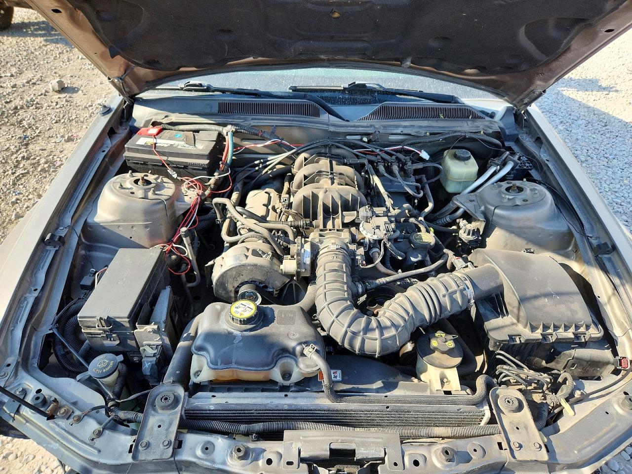2005 Ford Mustang Gray vin: 1ZVFT80N655238566