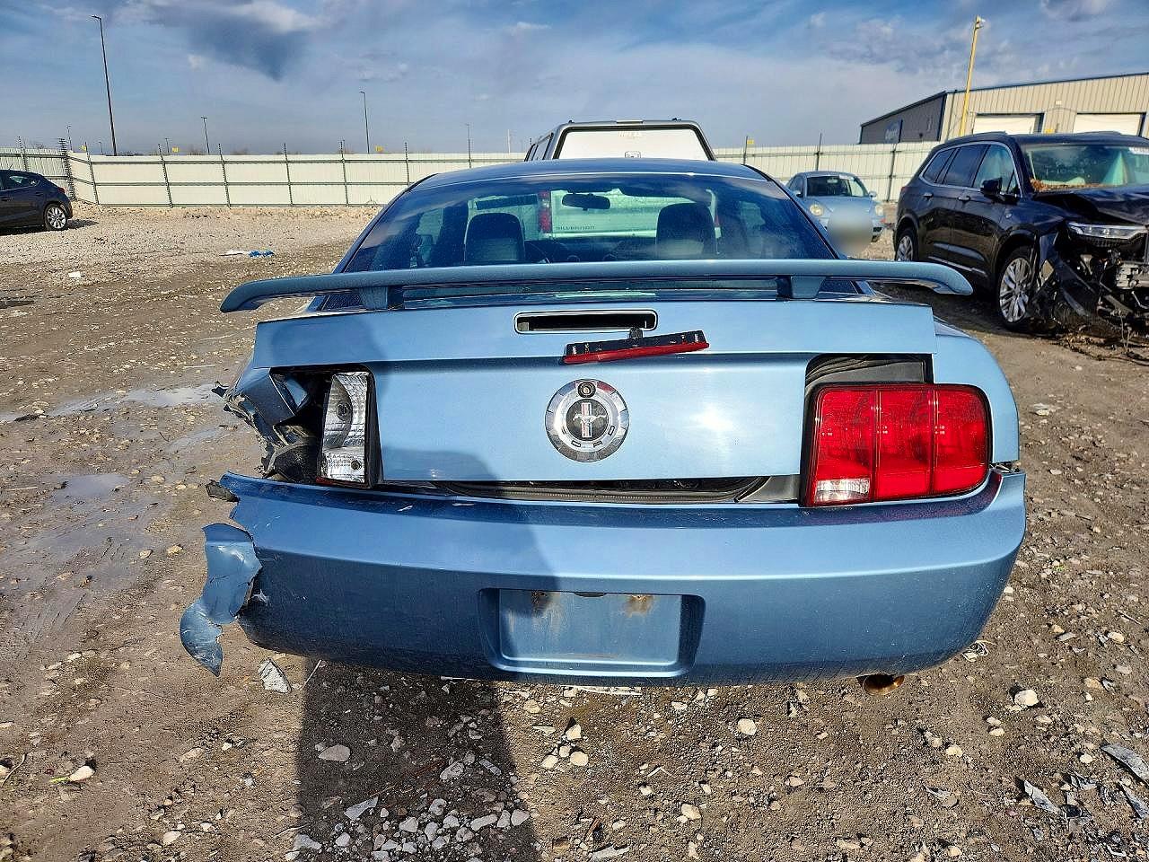 2005 Ford Mustang Blue vin: 1ZVFT80N655251589