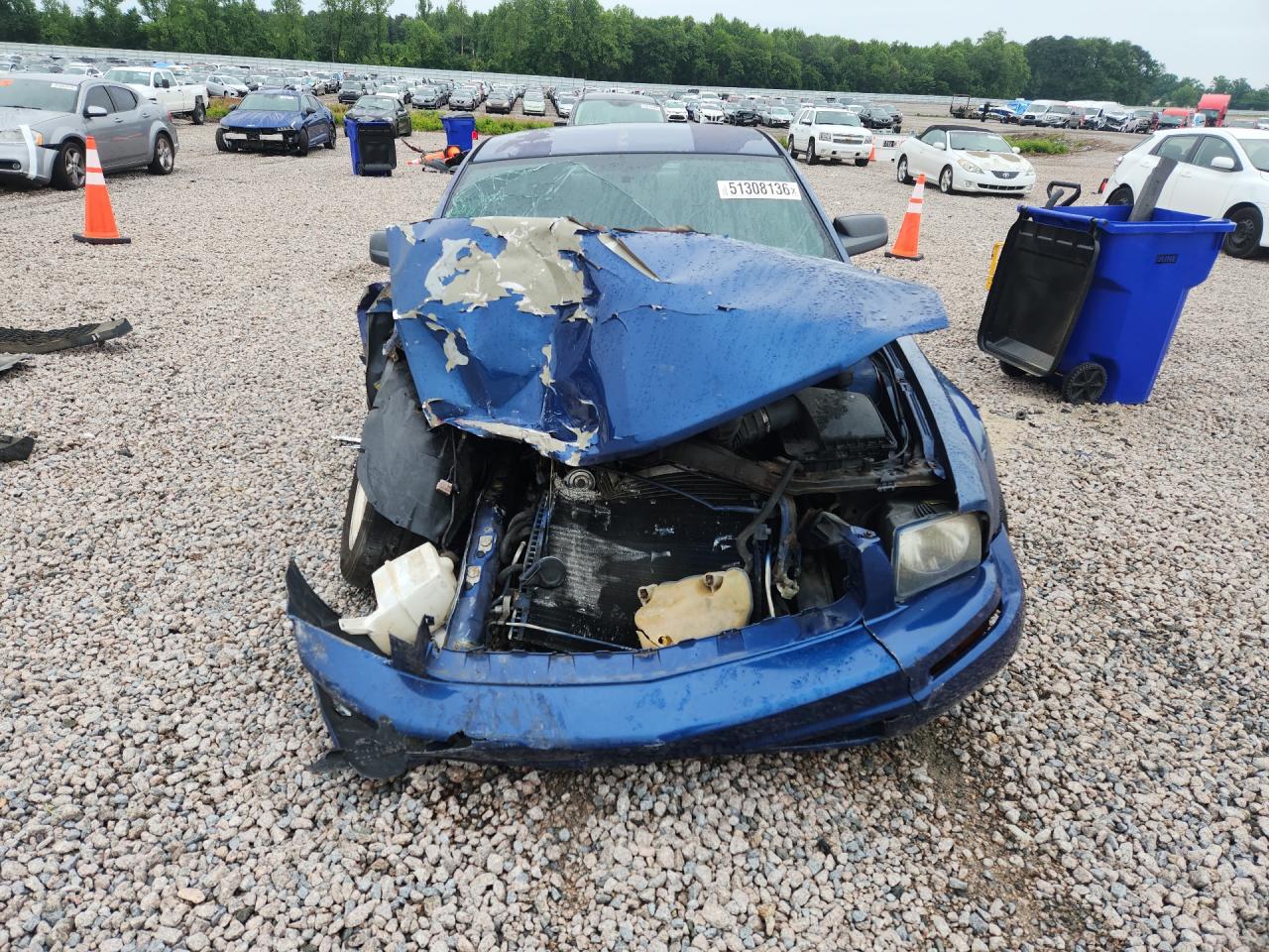 2006 Ford Mustang Blue vin: 1ZVFT80N665140557