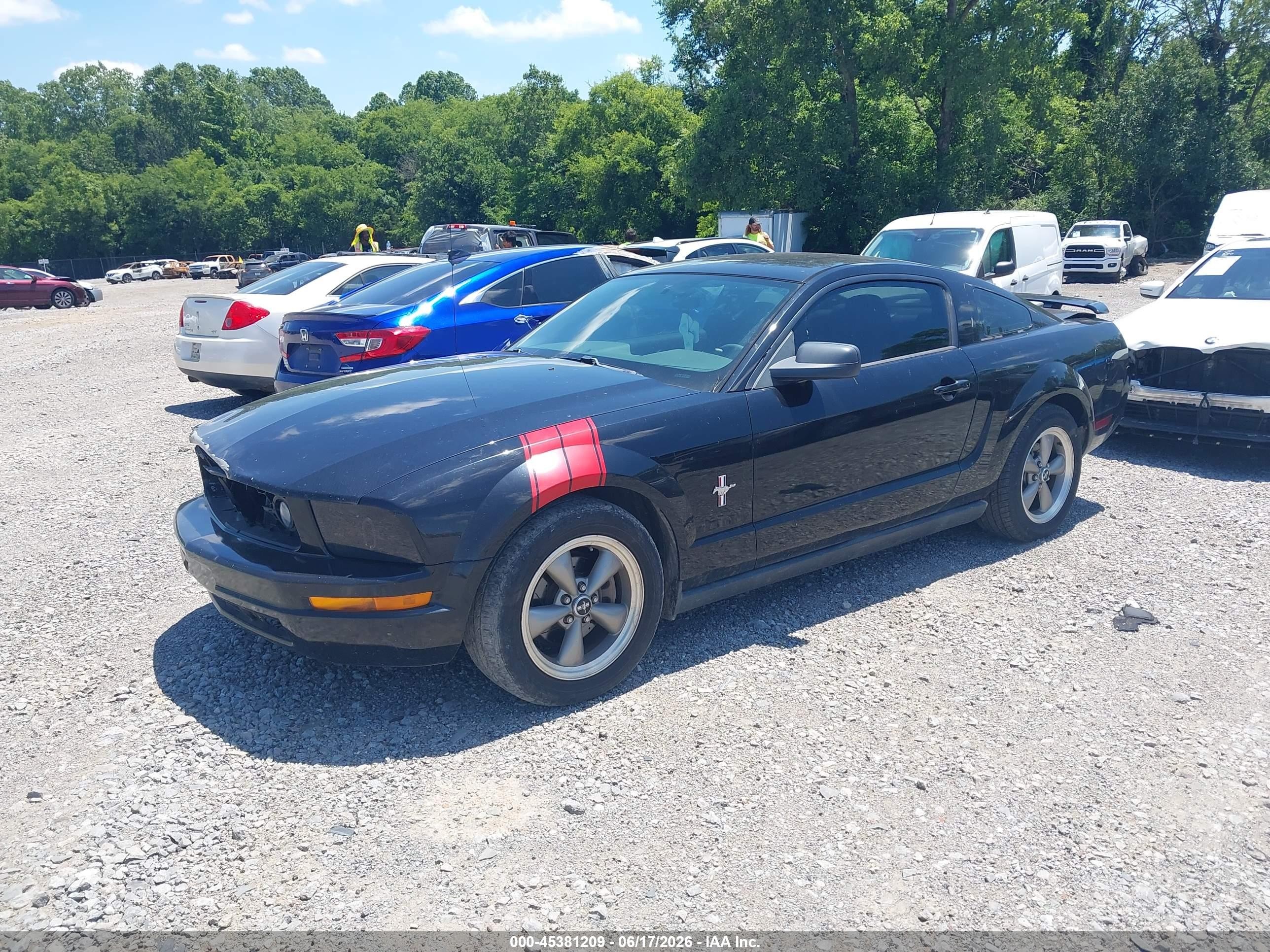 2006 Ford Mustang V6 Black vin: 1ZVFT80N665168035
