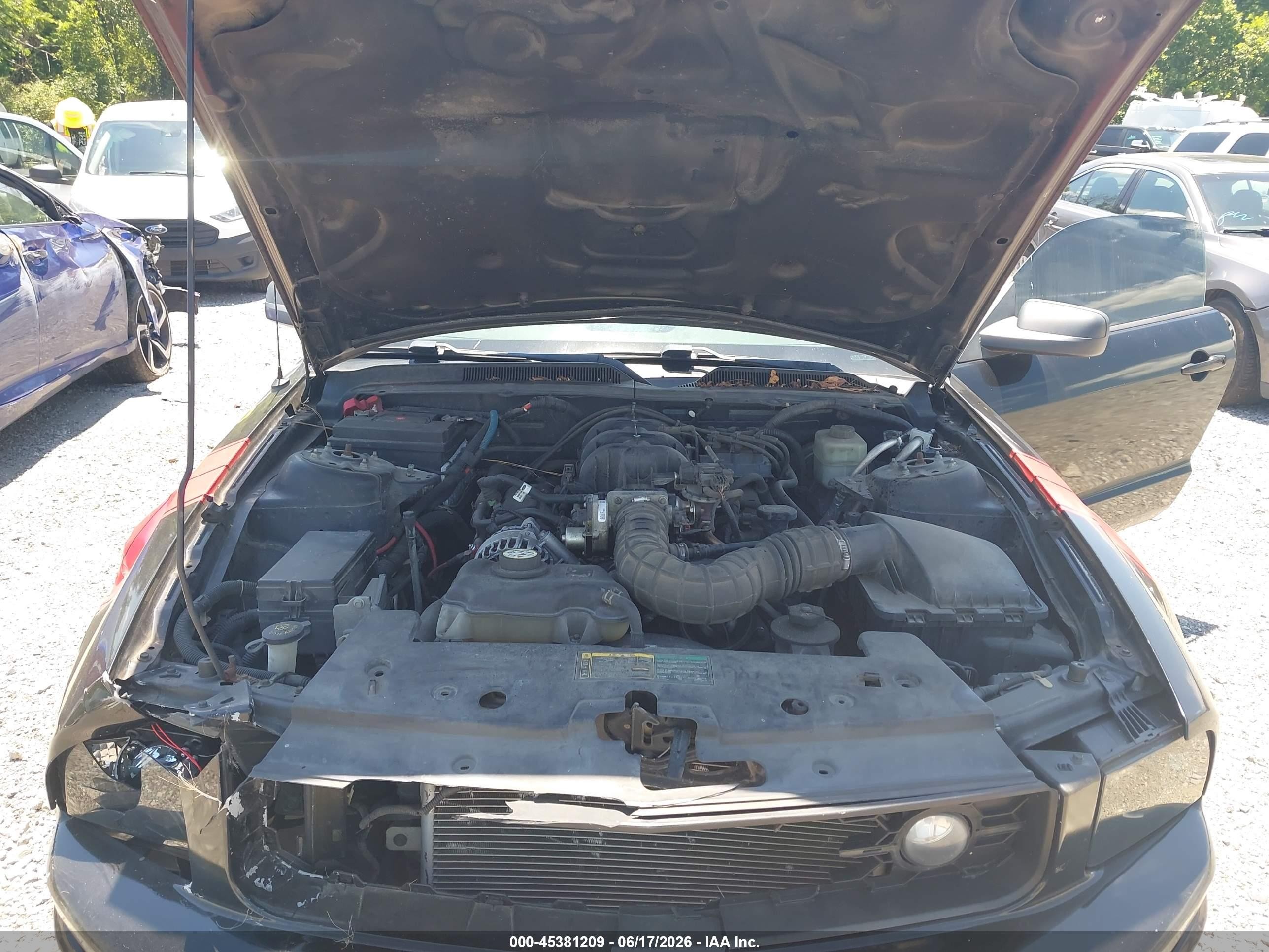 2006 Ford Mustang V6 Black vin: 1ZVFT80N665168035