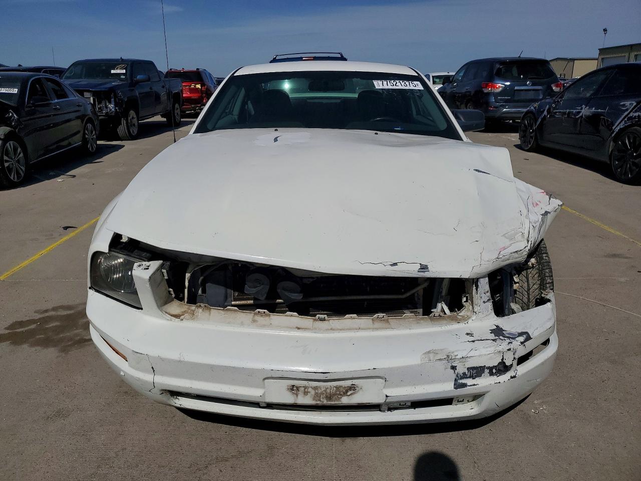 2006 Ford Mustang White vin: 1ZVFT80N665177284