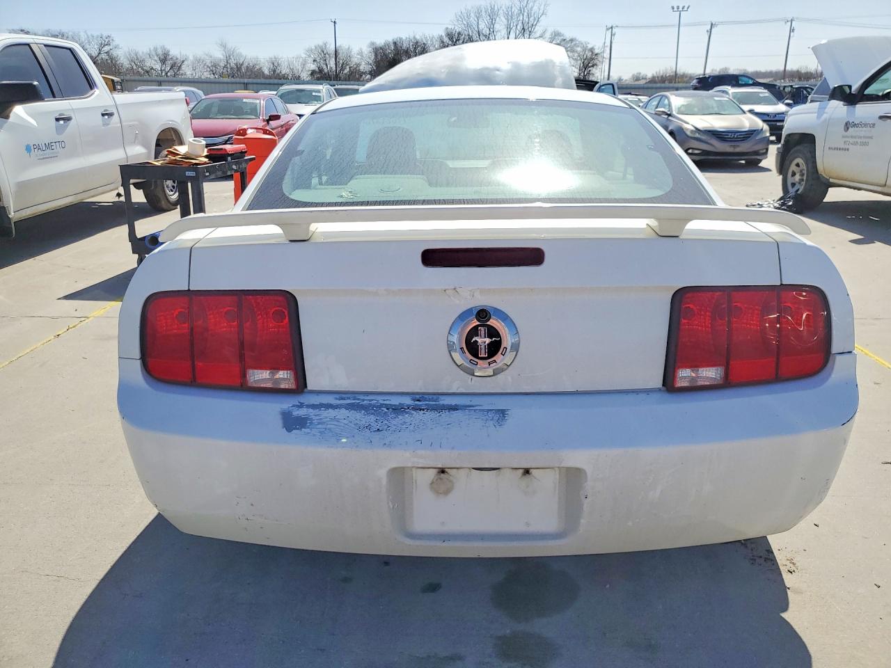 2006 Ford Mustang White vin: 1ZVFT80N665177284