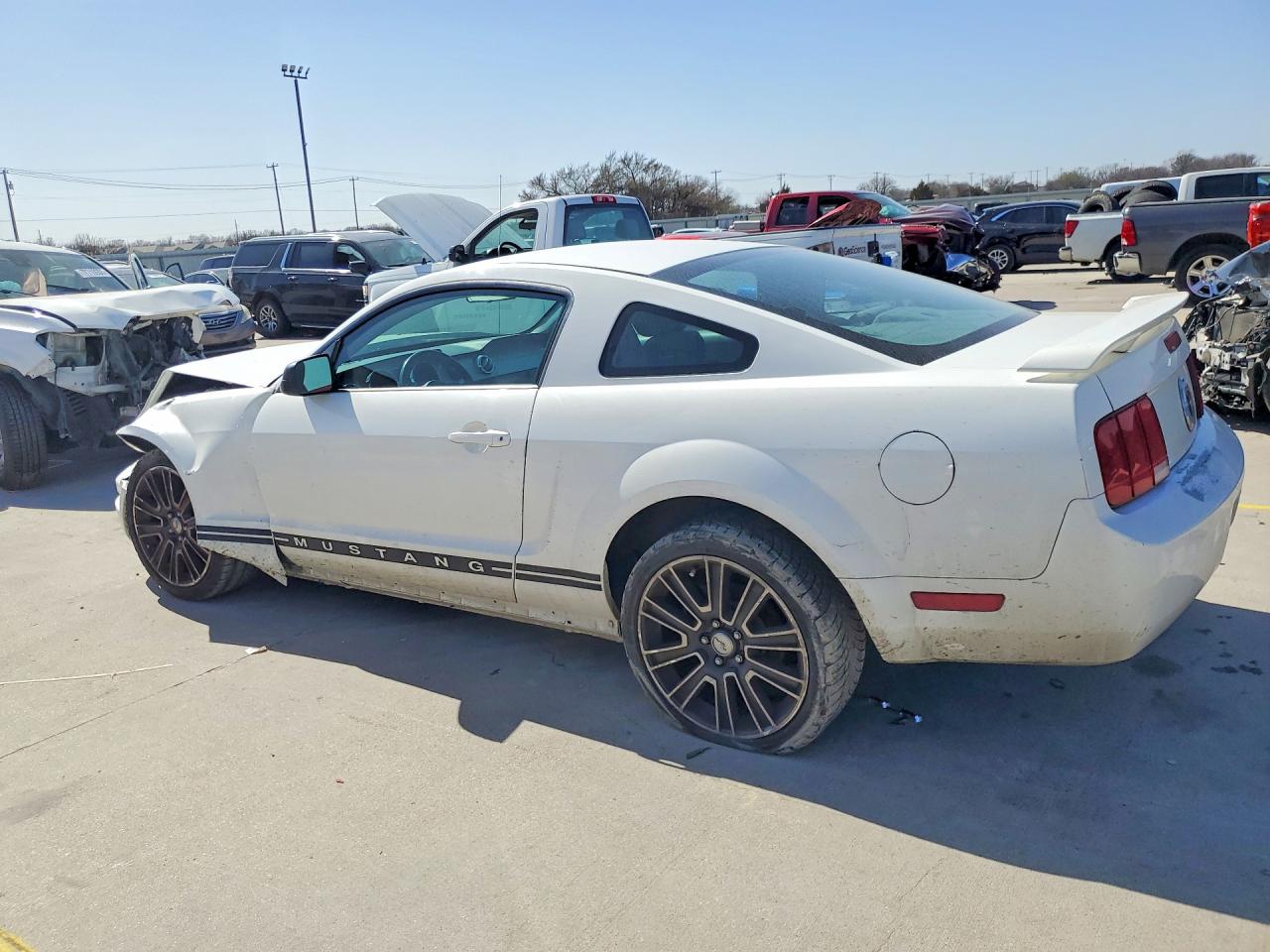 2006 Ford Mustang White vin: 1ZVFT80N665177284