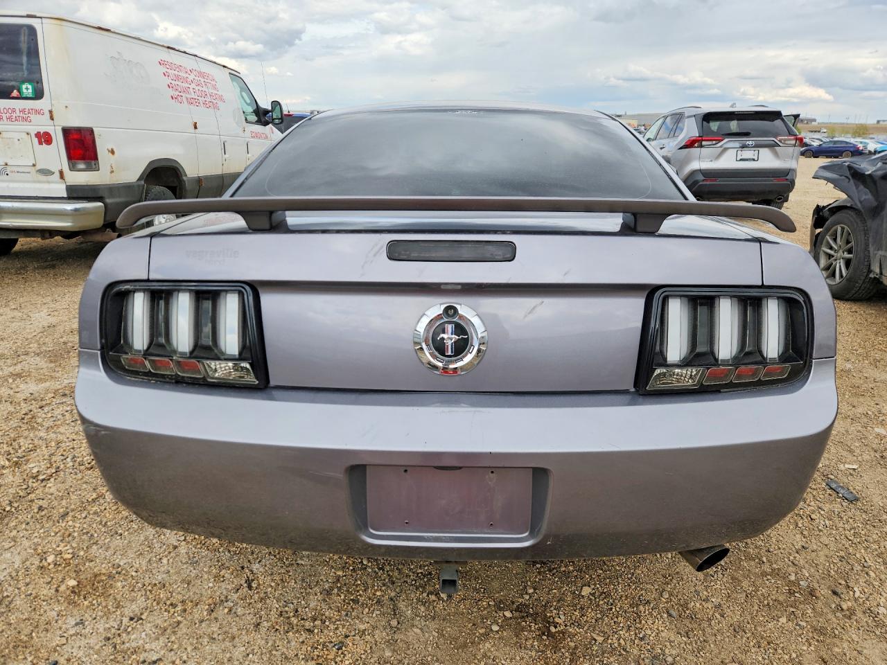 2006 Ford Mustang Серый vin: 1ZVFT80N665193369