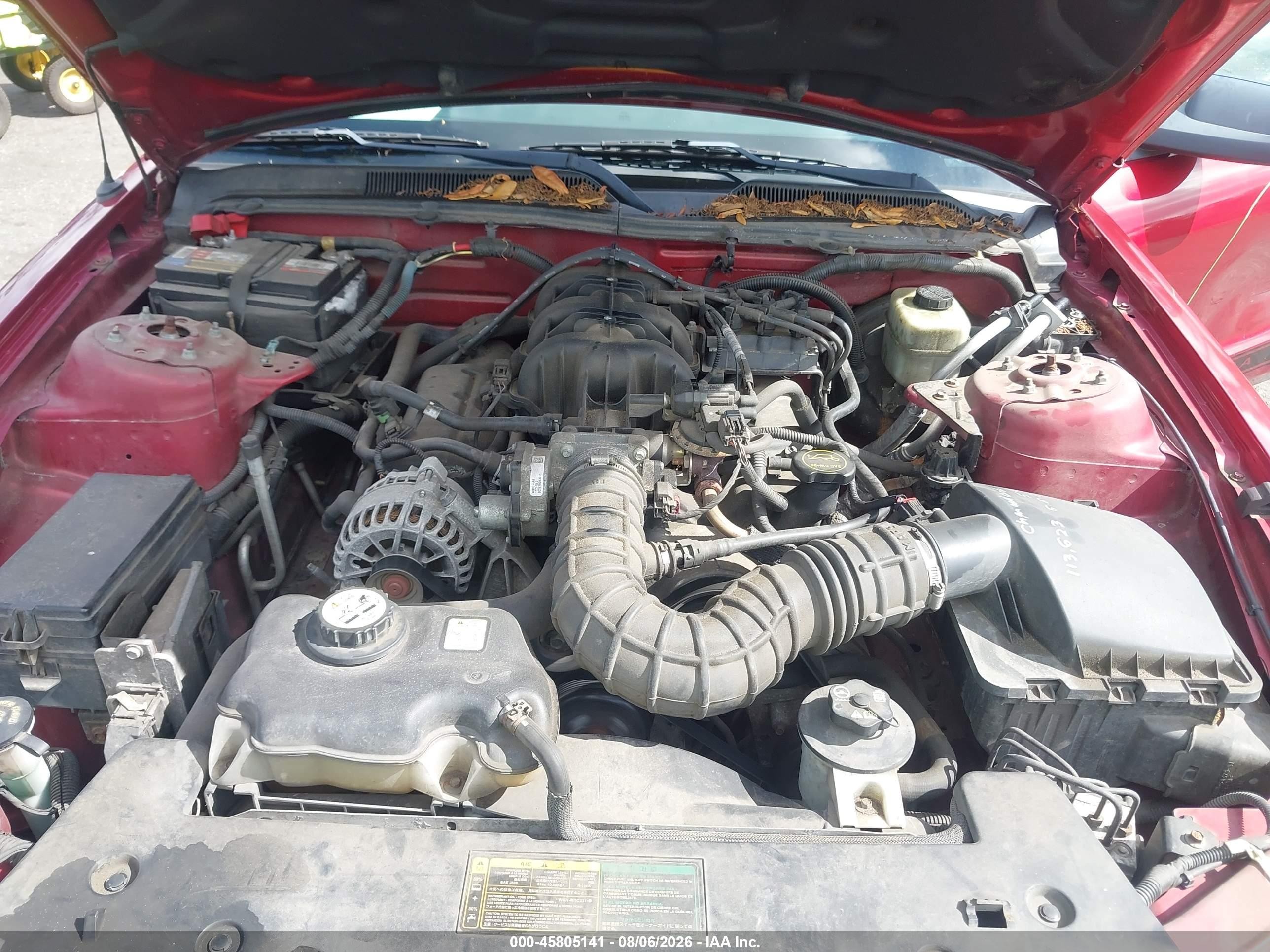 2006 Ford Mustang V6 Red vin: 1ZVFT80N665215693