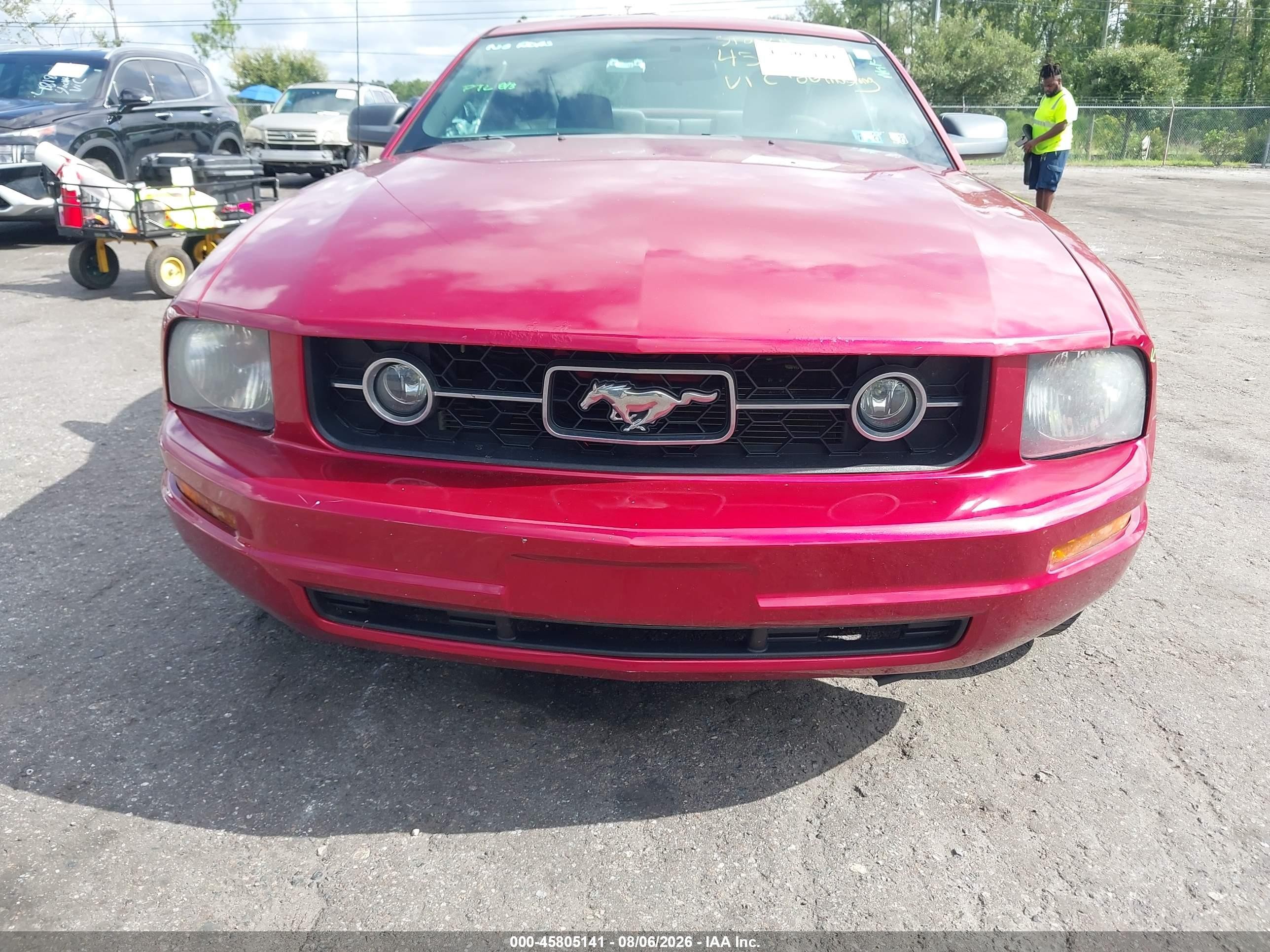2006 Ford Mustang V6 Red vin: 1ZVFT80N665215693