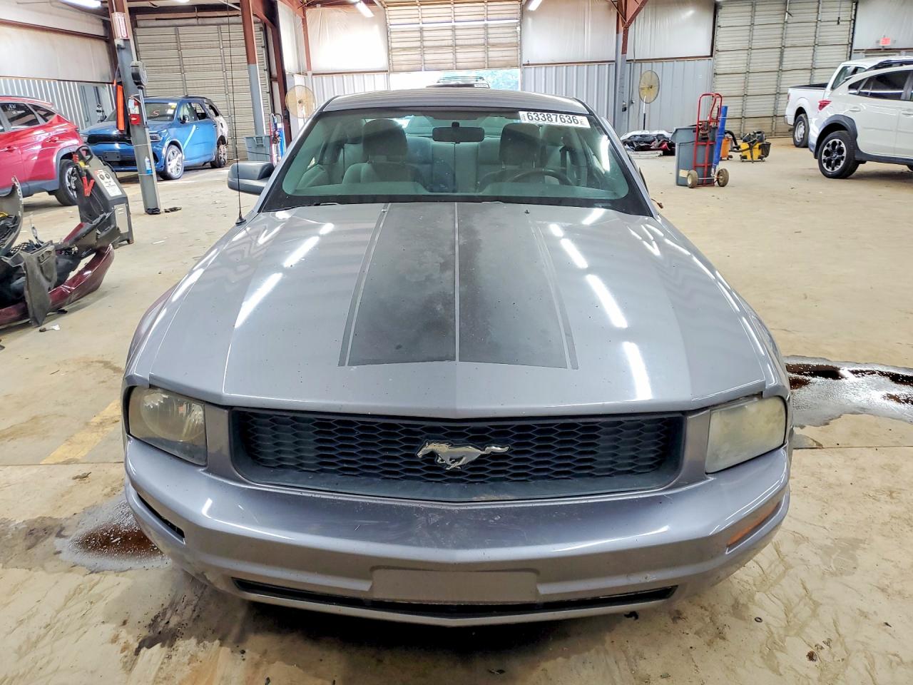 2006 Ford Mustang Blue vin: 1ZVFT80N665227178