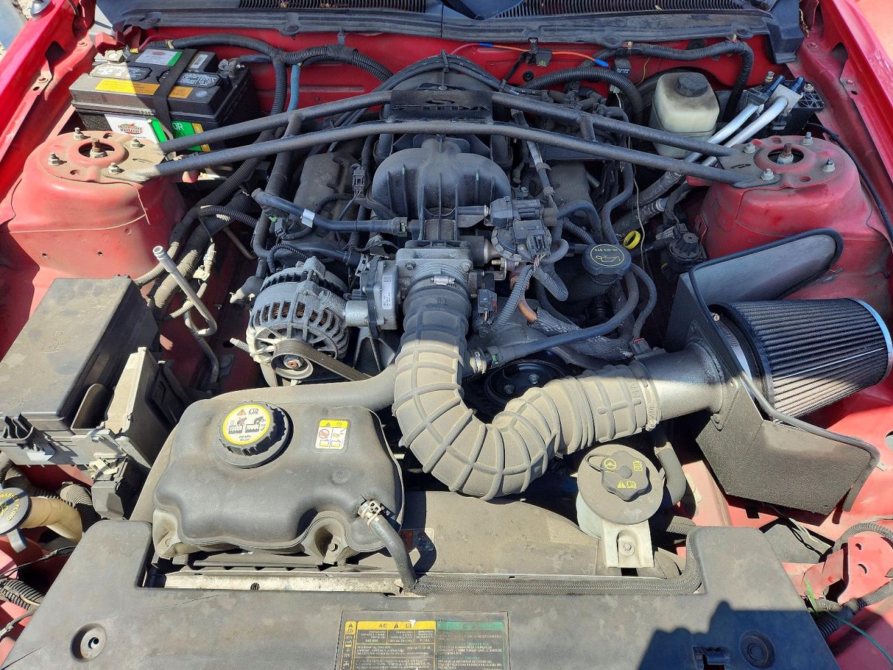 2007 Ford Mustang Red vin: 1ZVFT80N675272803