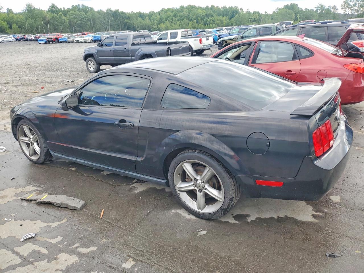 2005 Ford Mustang Черный vin: 1ZVFT80N755139559