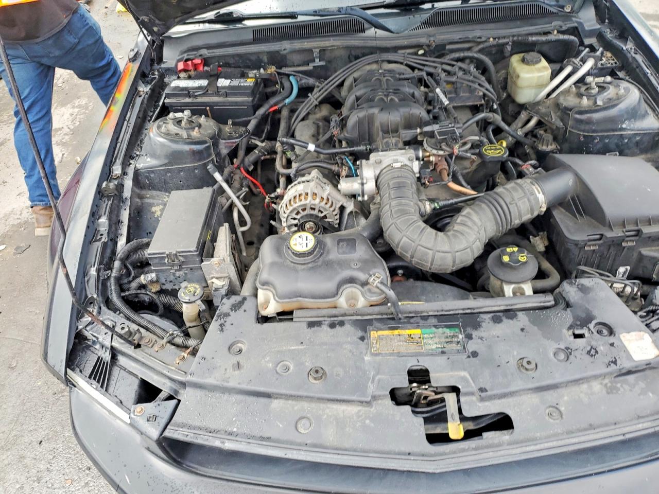 2005 Ford Mustang Черный vin: 1ZVFT80N755139559